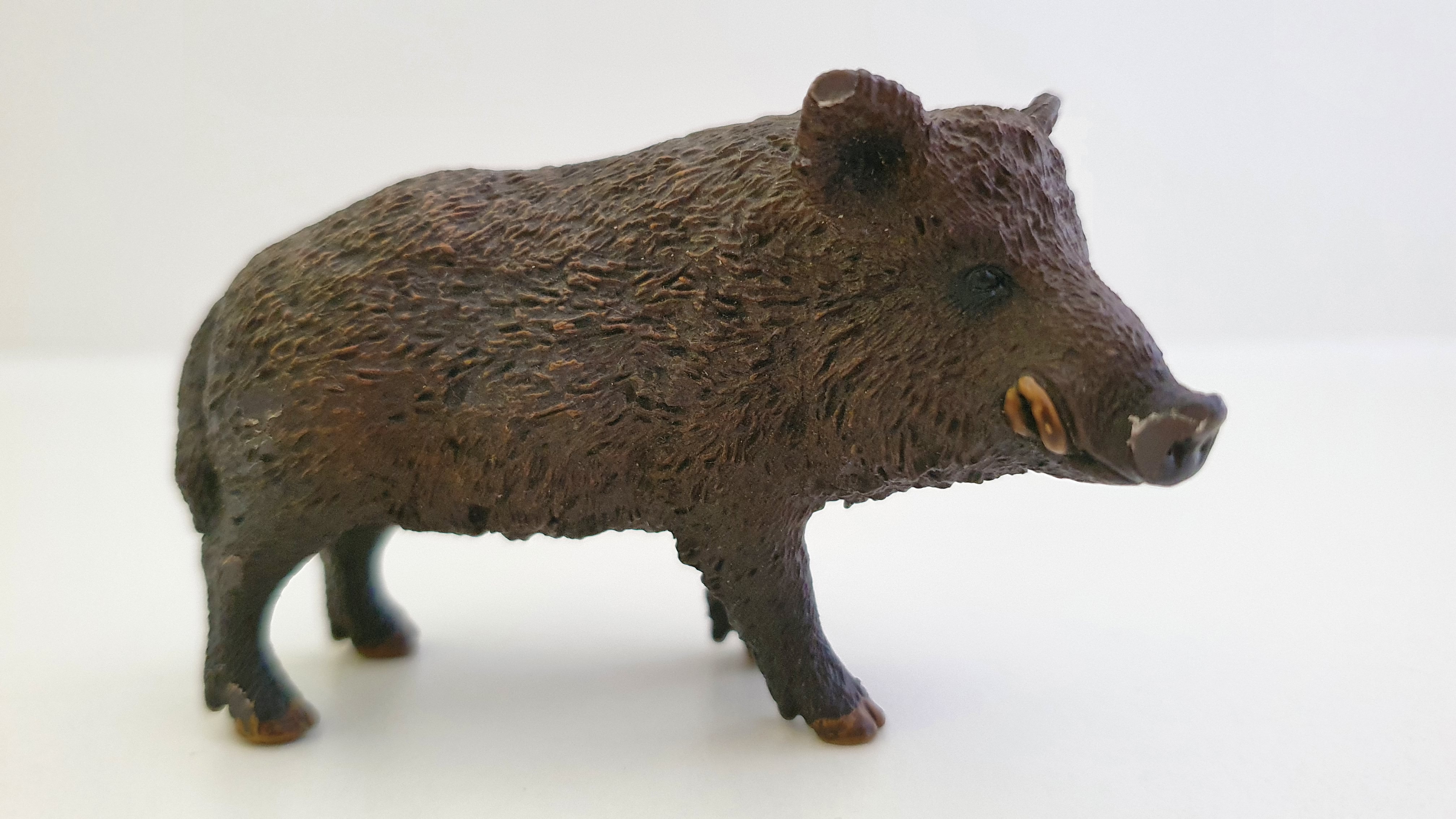 prase divoké 14783, model 2016