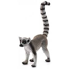 lemur 14827, nové