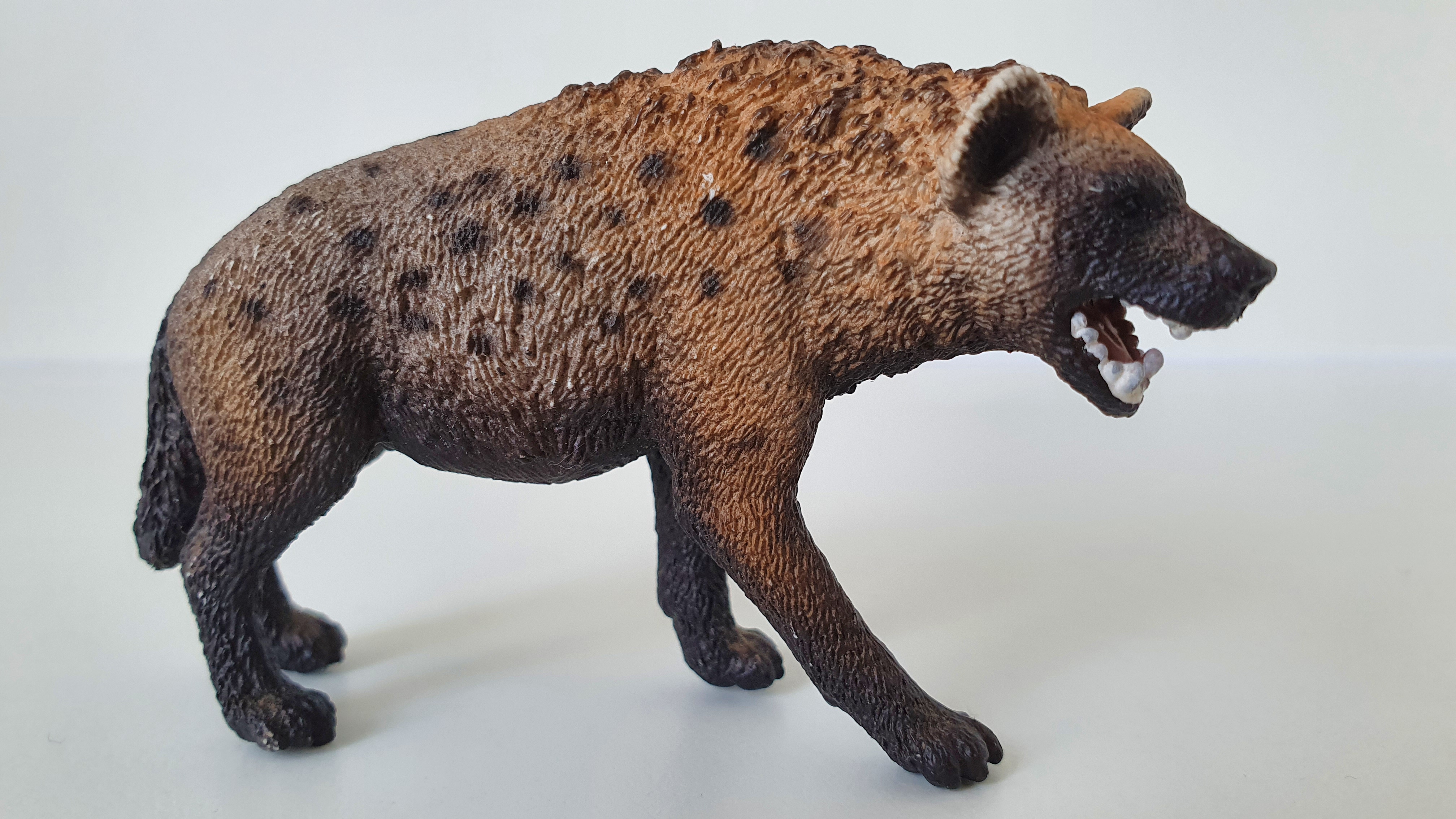 hyena 14735, model 2014
