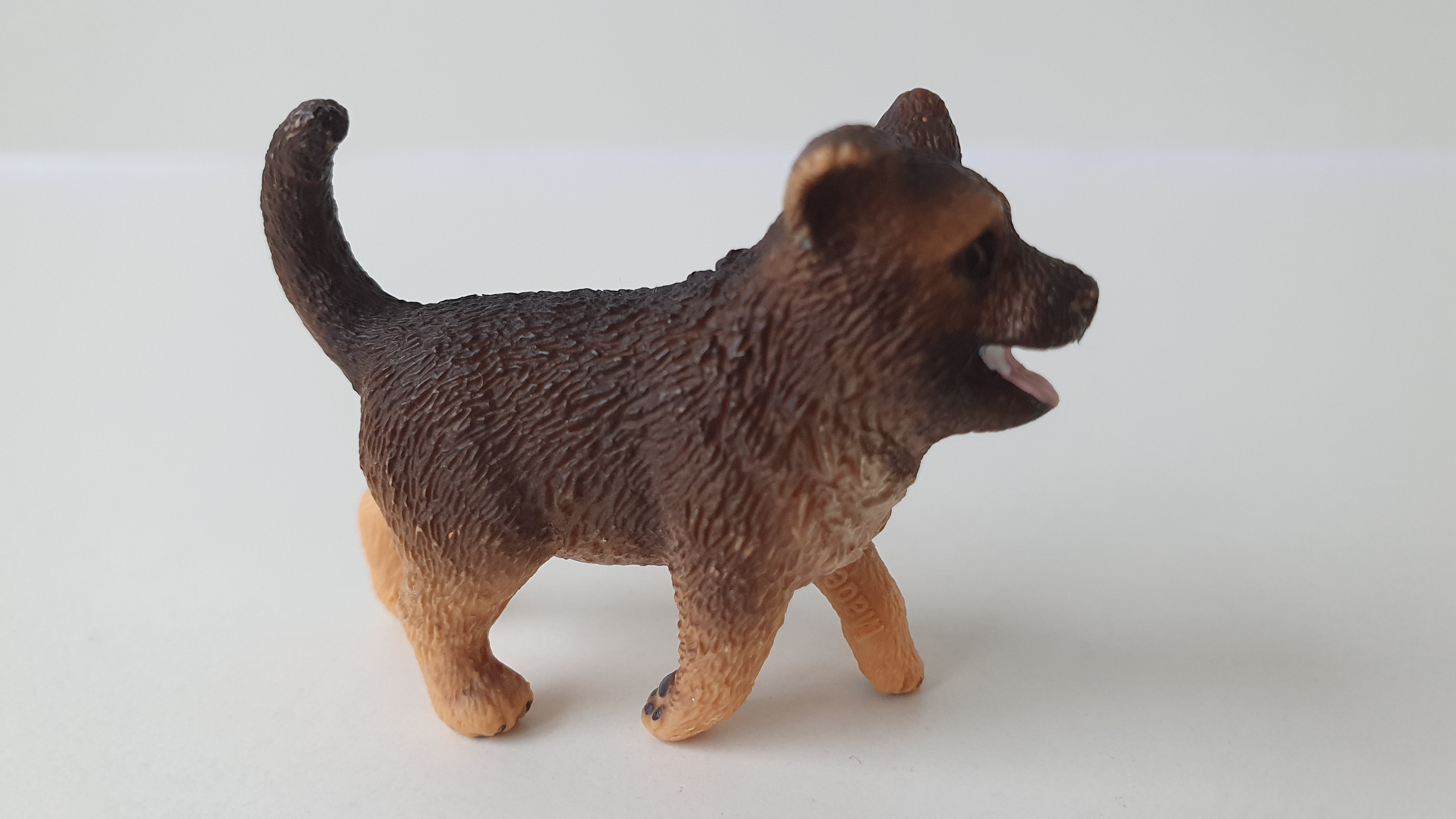 Německý ovčák štěně 16832, model 2014