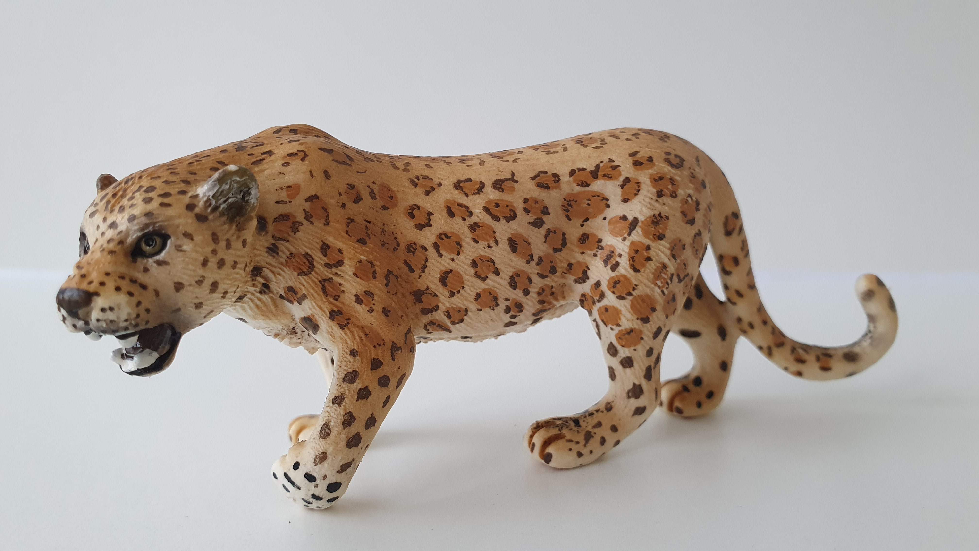 leopard 14360, model 2006