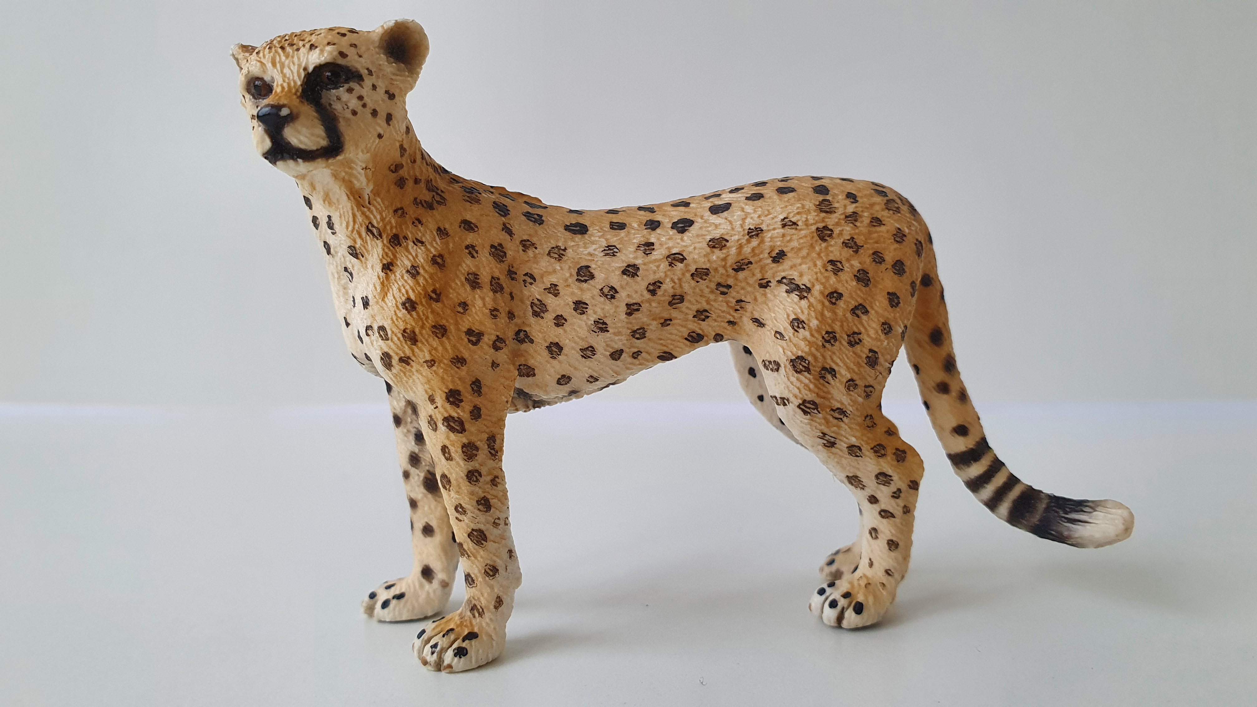 gepard 14614, model 2009