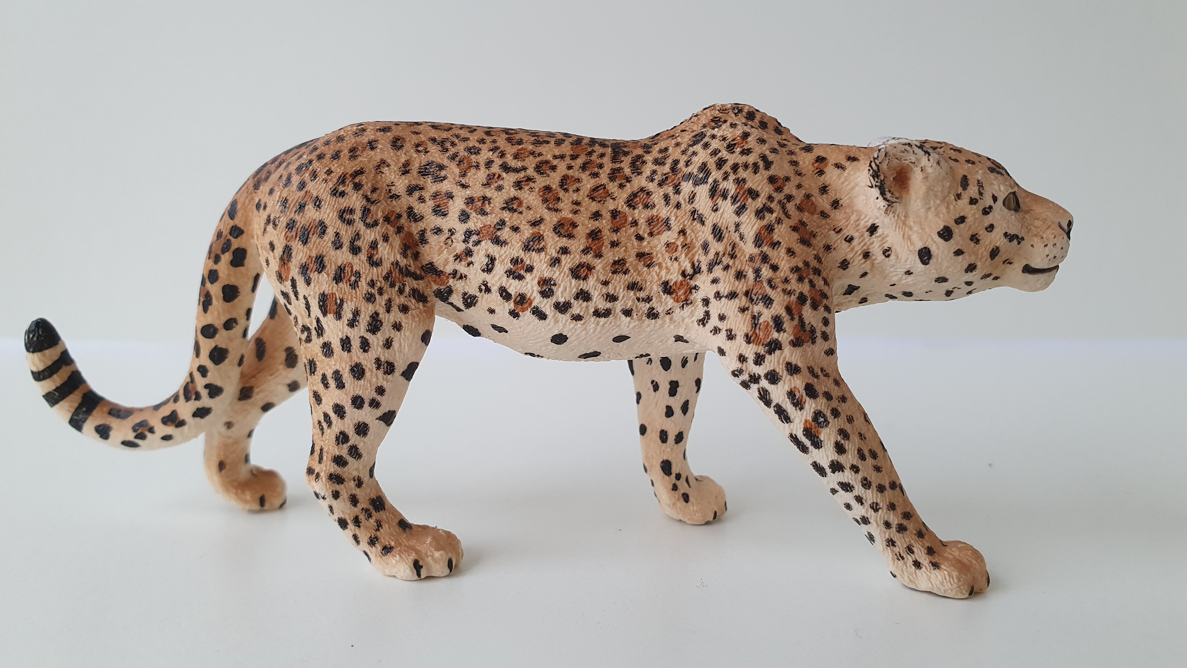 leopard 14748, model 2015