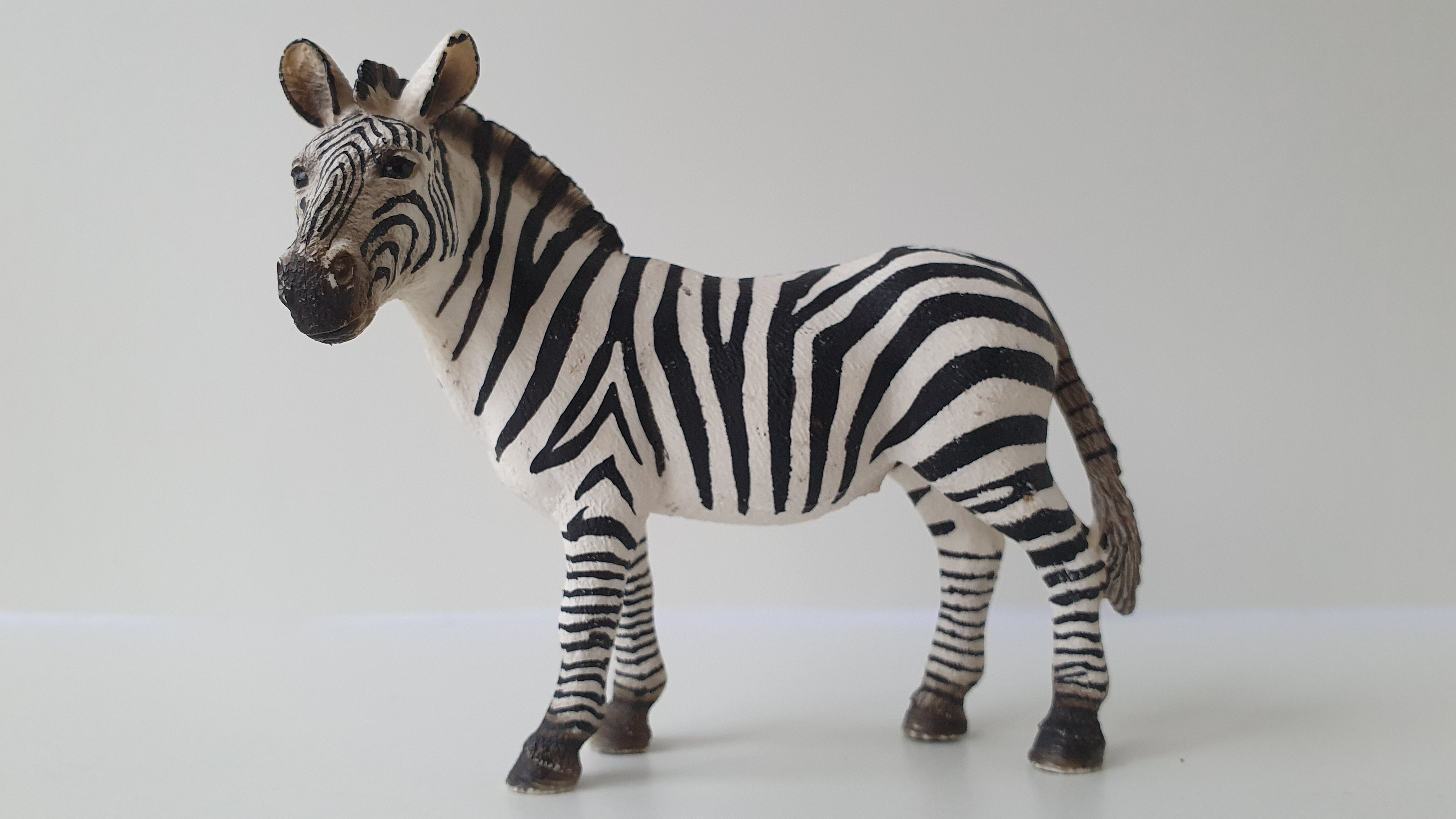 zebra 14392, model 2008