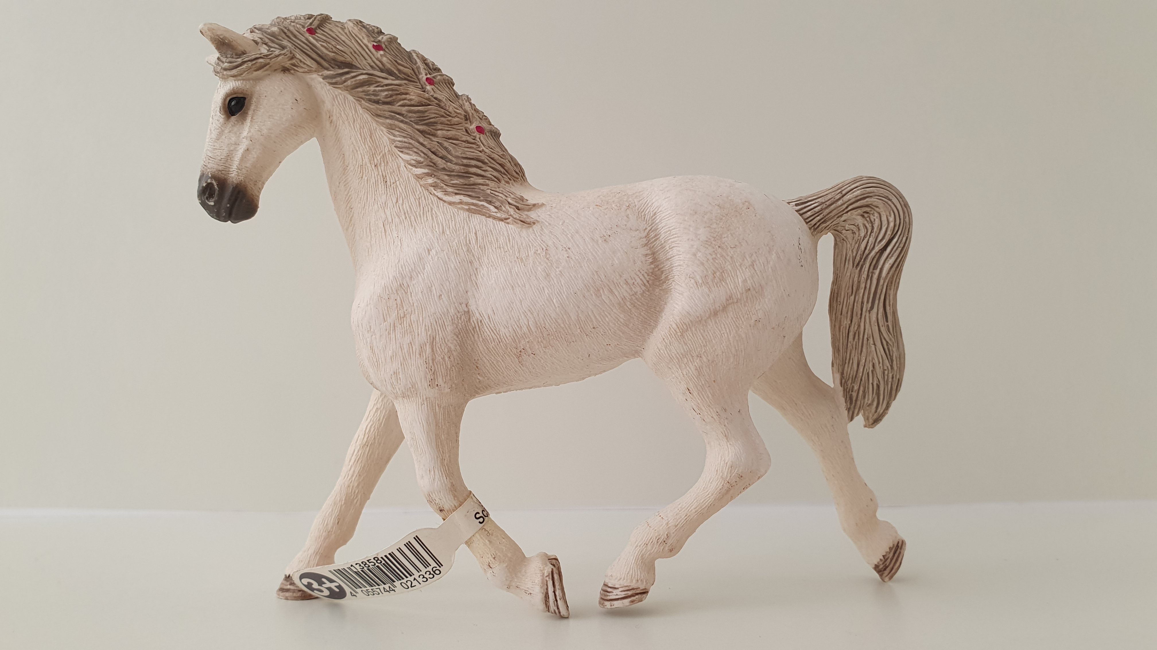 Holštýnský klisna 13858, model 2017