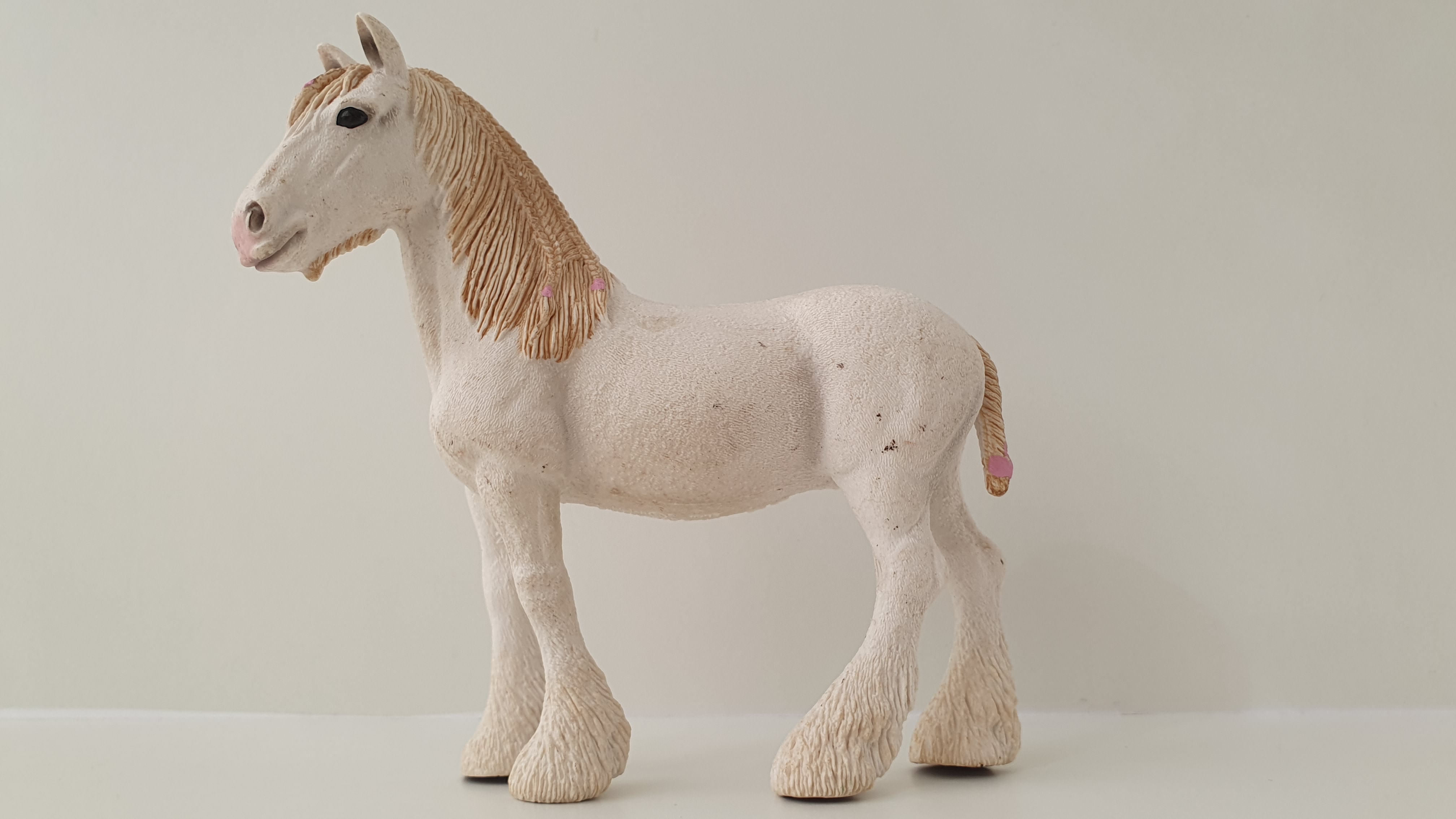Klisna shirská 13735, model 2012