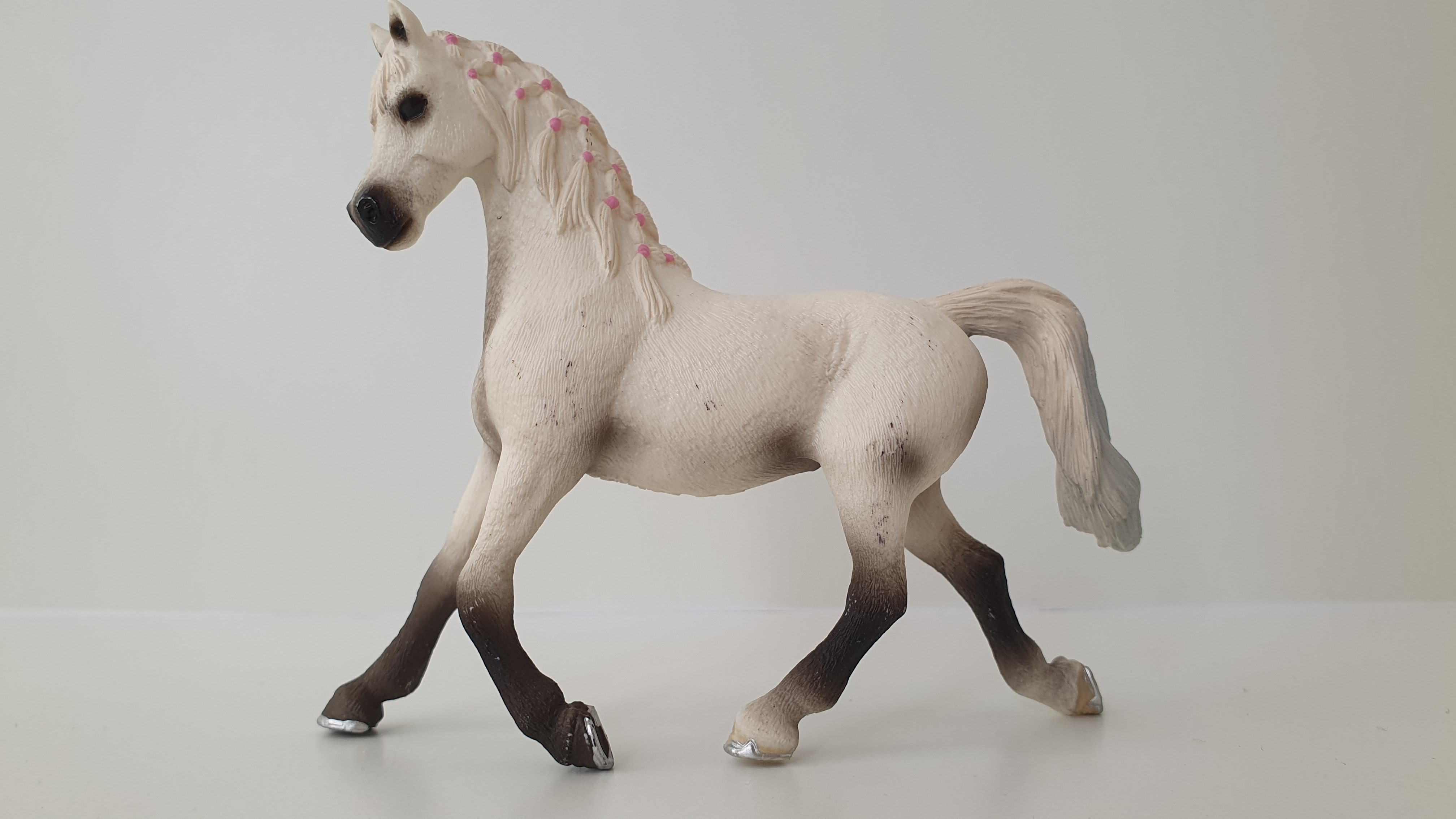 Bílá arabská klisna 13761, model 2013