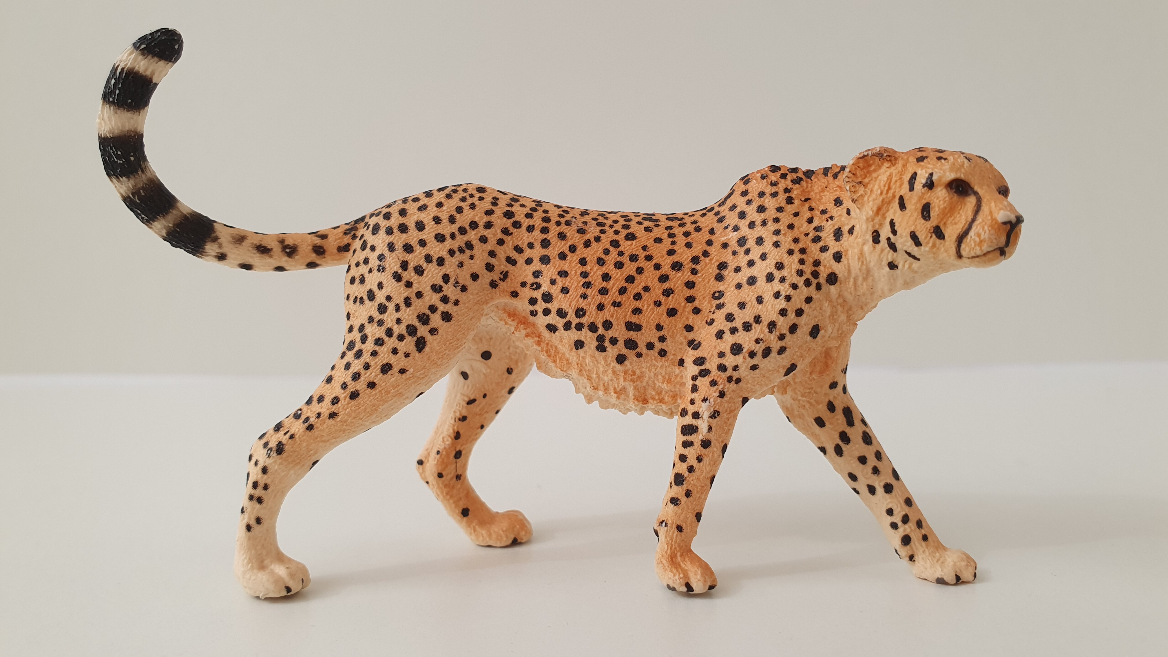 gepard 14746, model 2015