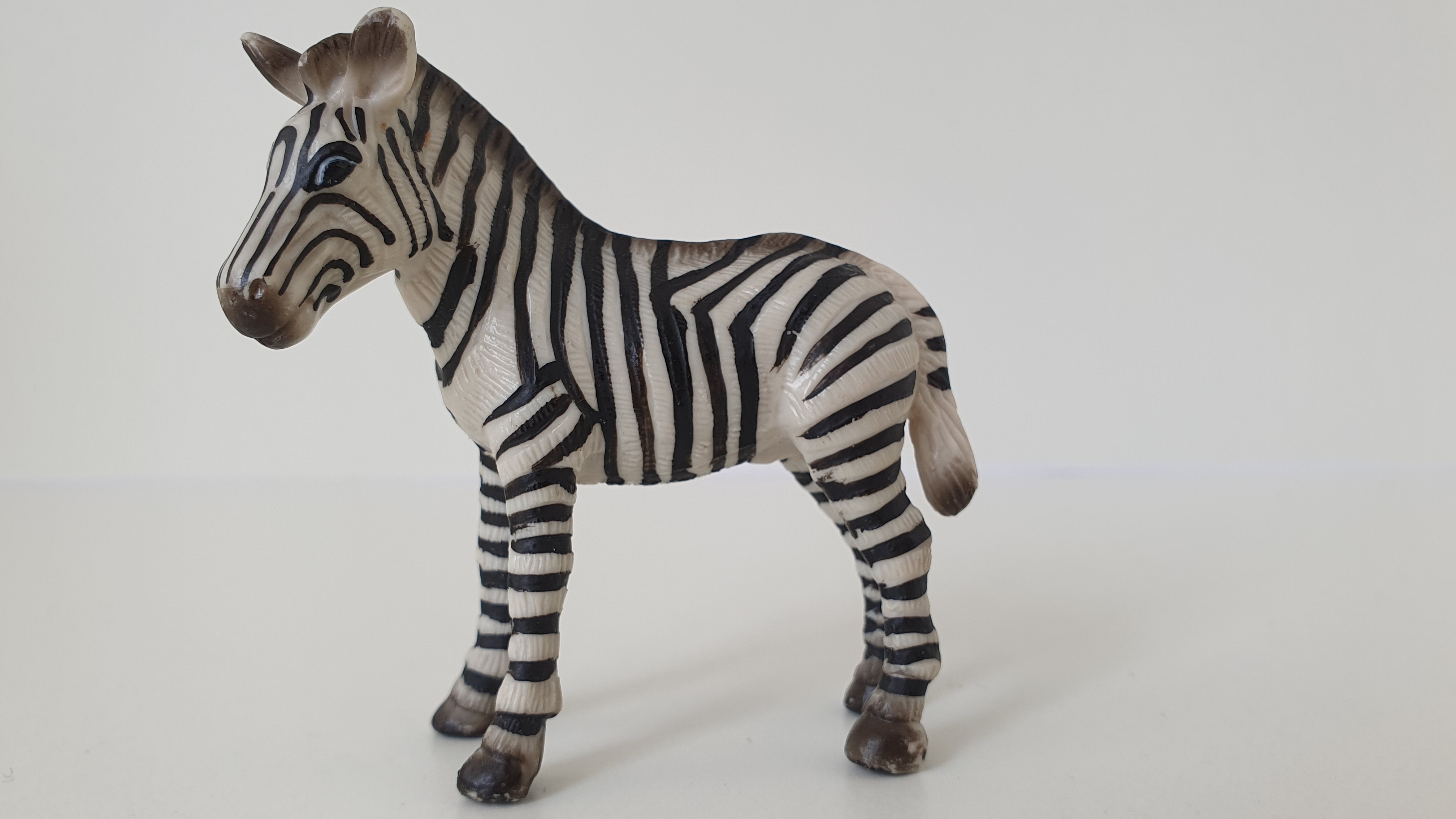 zebra mládě 14146, model 1998