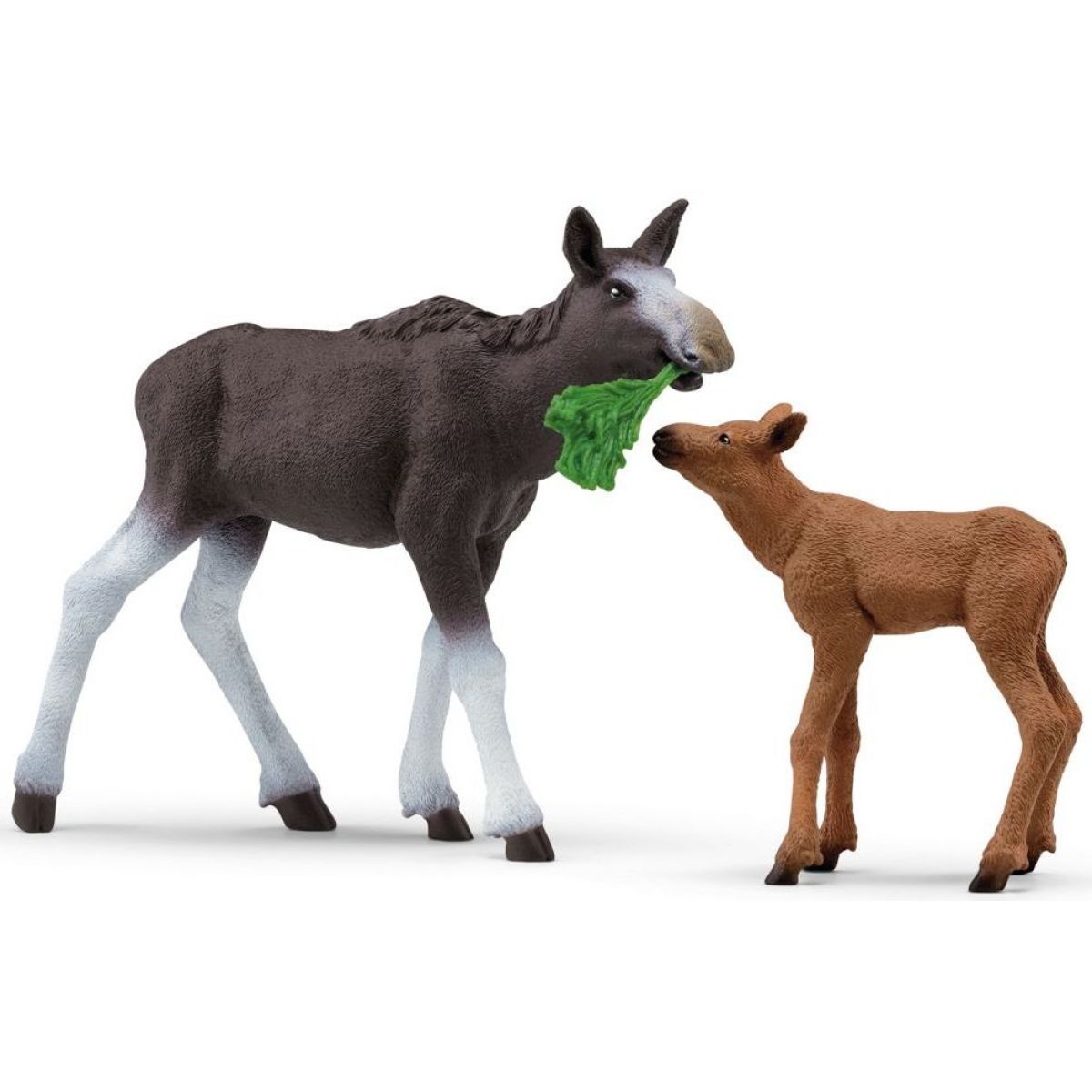 Samice losa s mládětem. nové