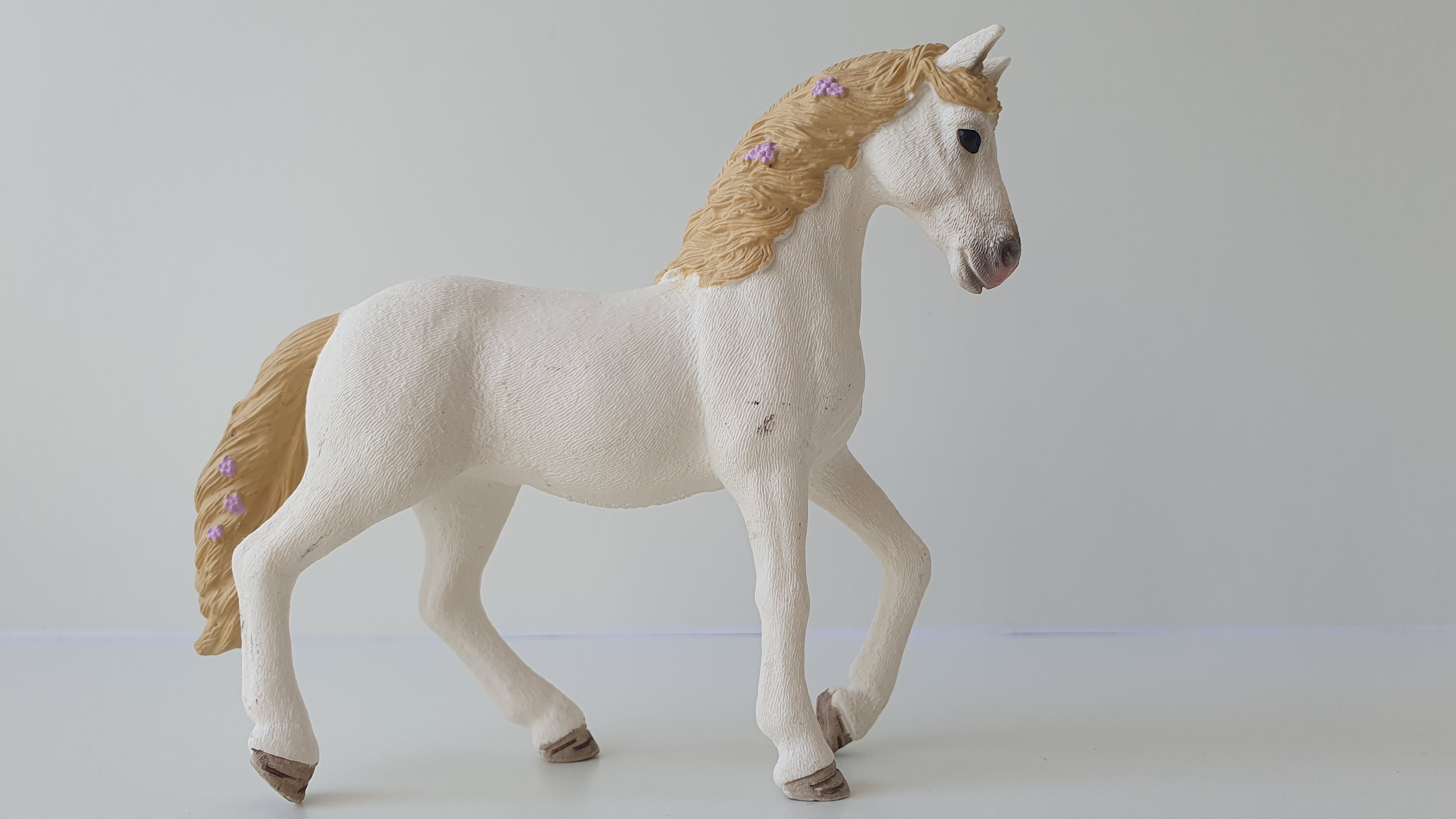 Klisna andaluská Blossom 42412, model 2017