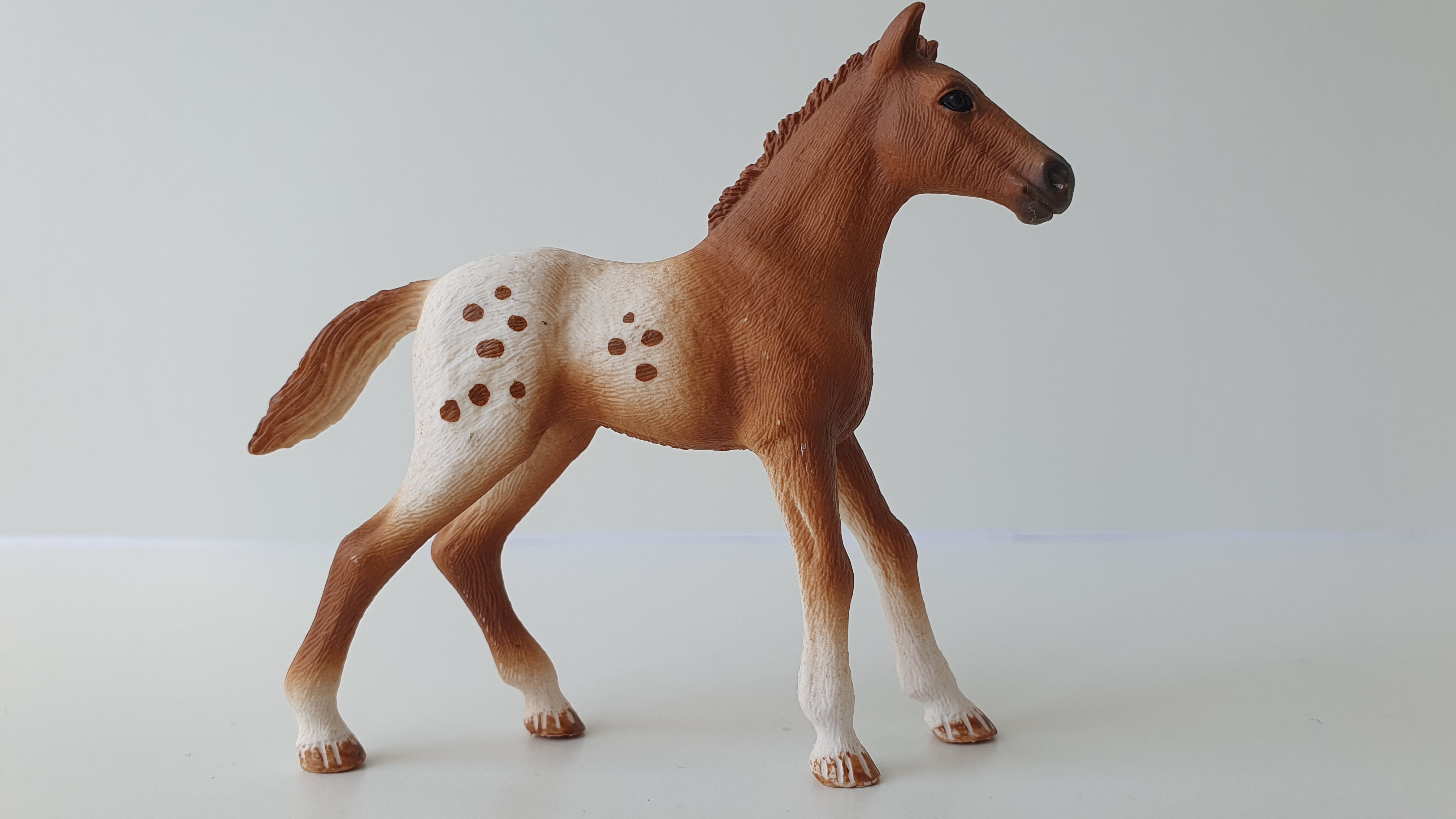Appaloosa hříbě 42433, model 2017