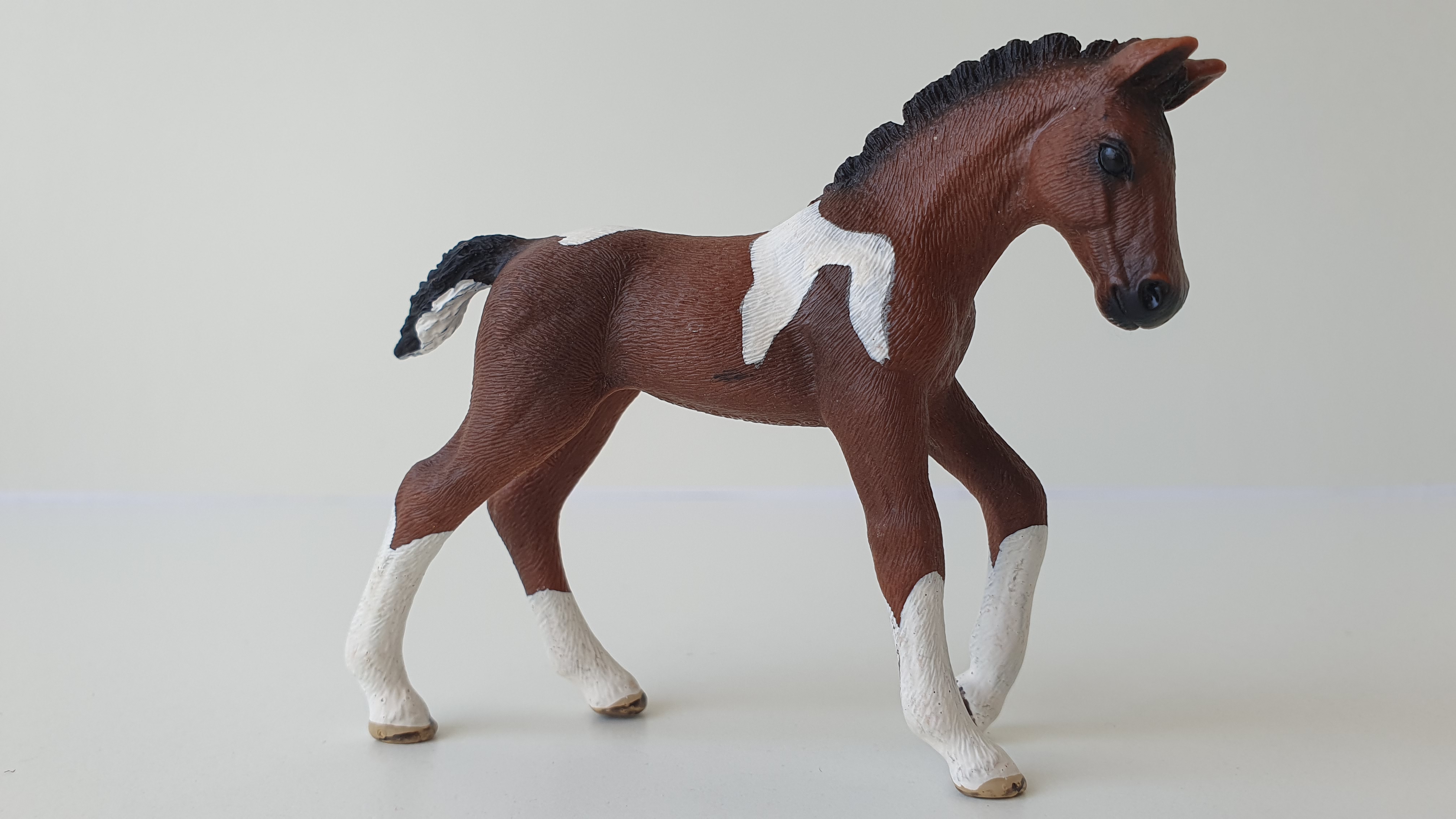 Hříbě koně Trakehnerského hříbě 13758, model 2013