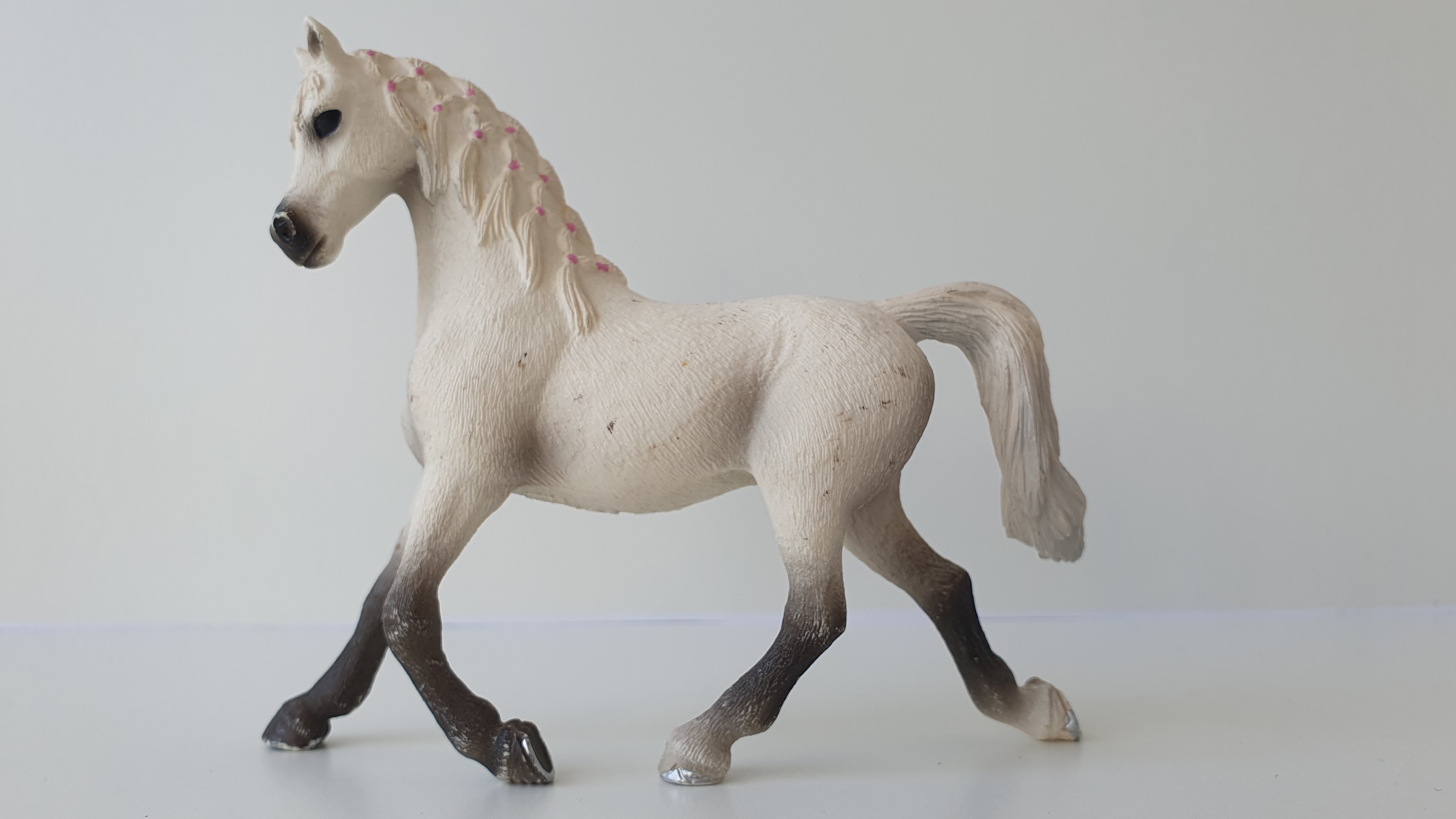 Bílá arabská klisna 13761, model 2013