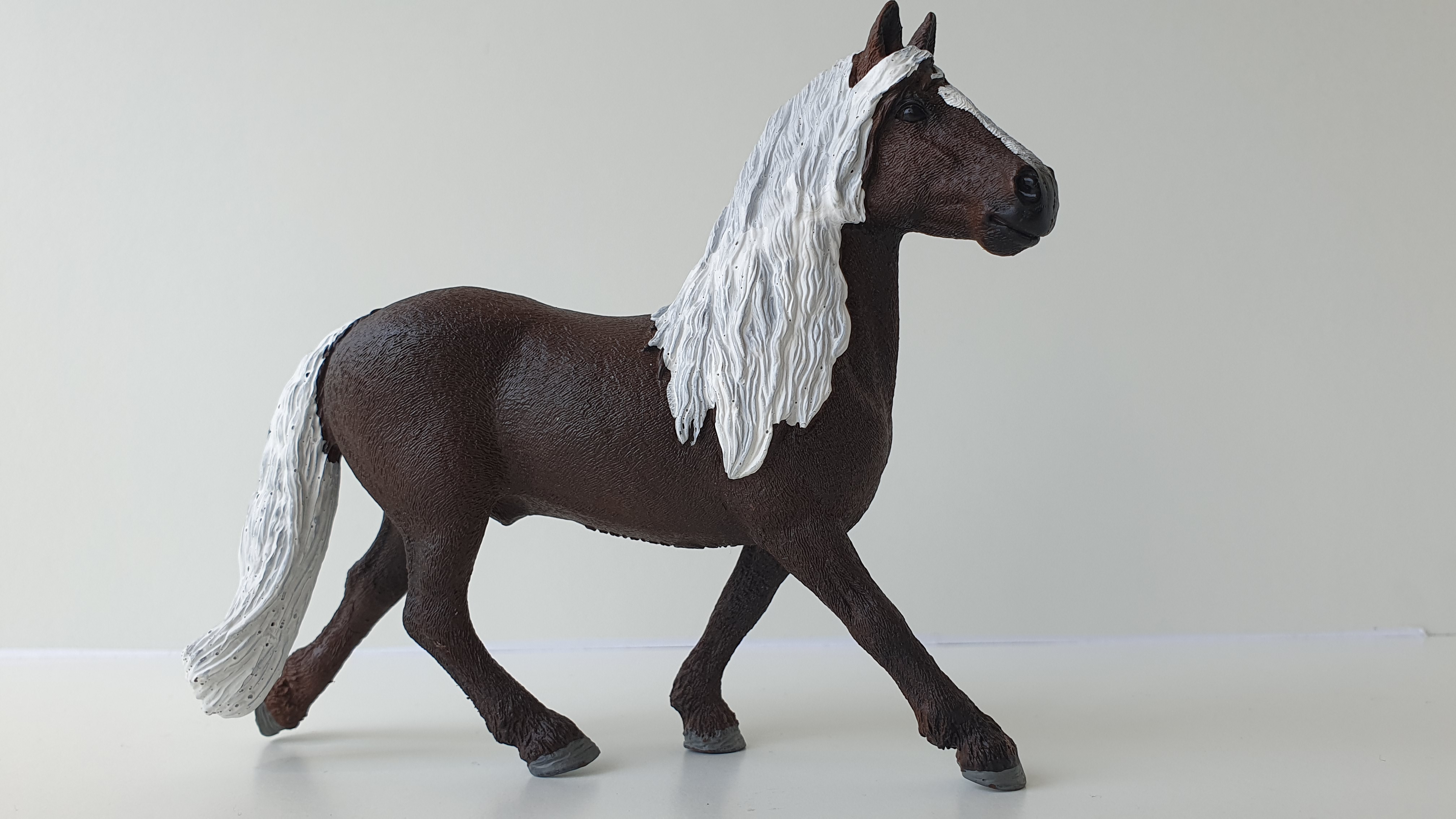 Černý lesní hřebec 13897, model 2019