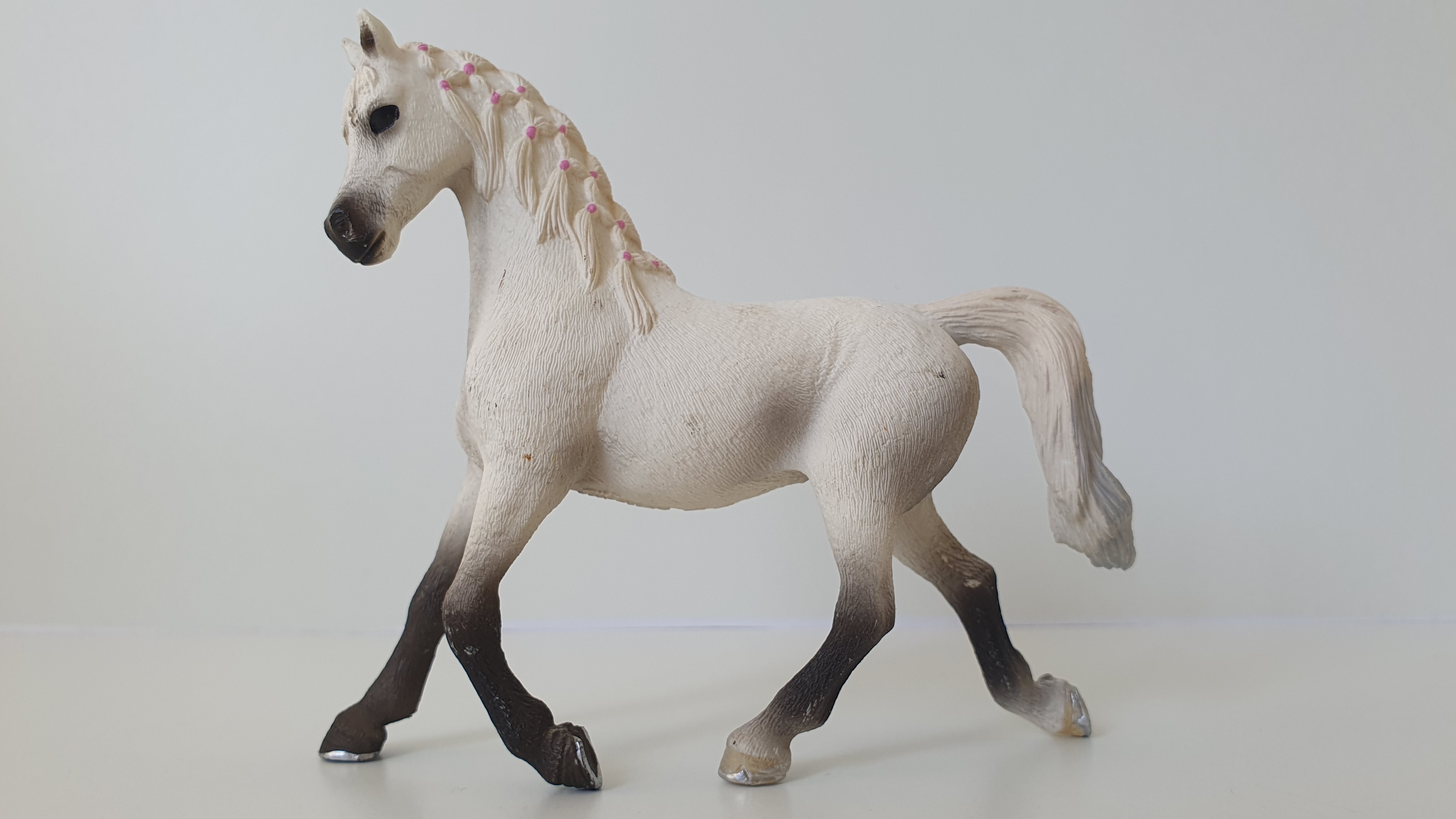 Bílá arabská klisna 13761, model 2013