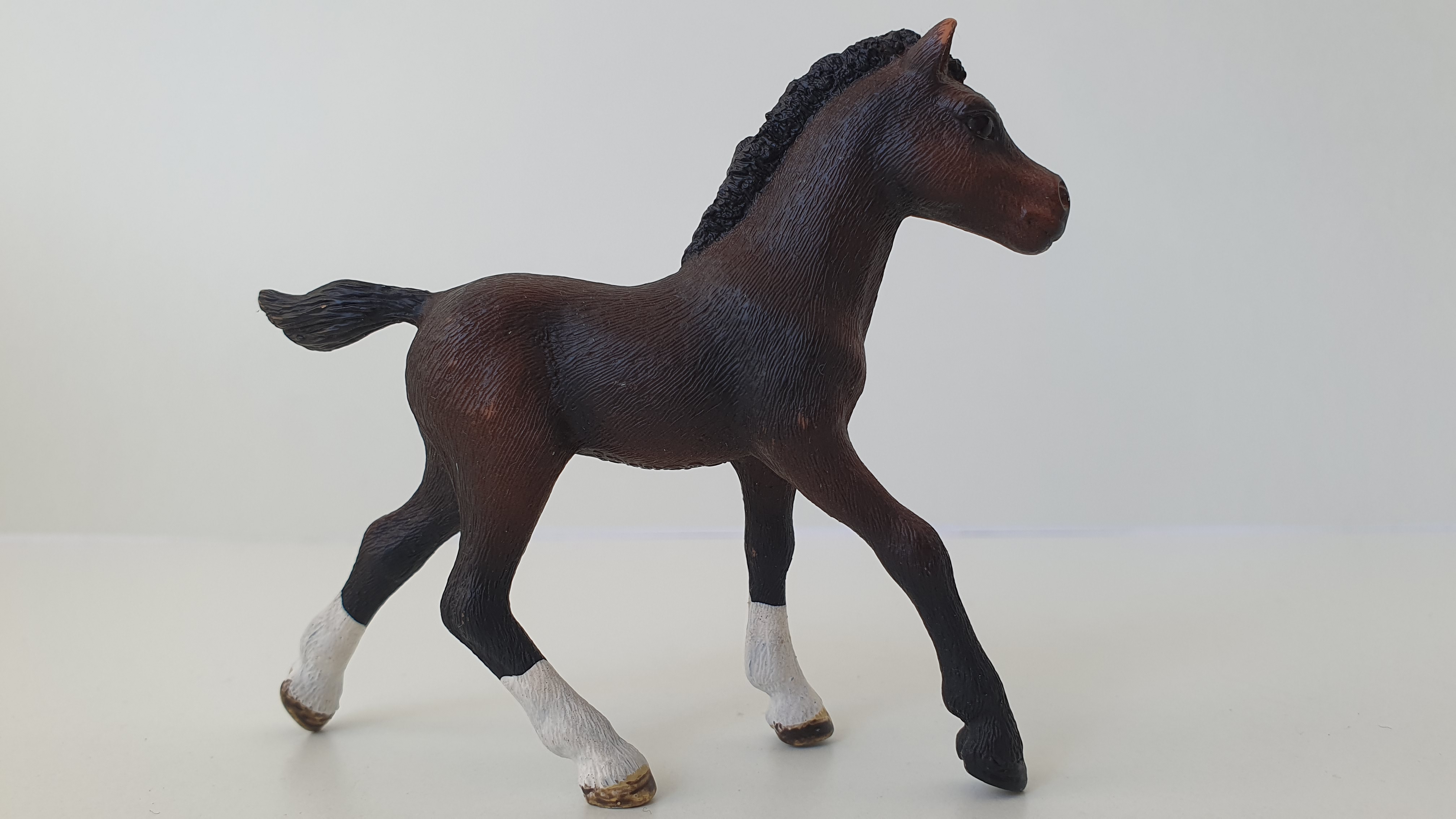 Arabské hříbě 13762, model 2013