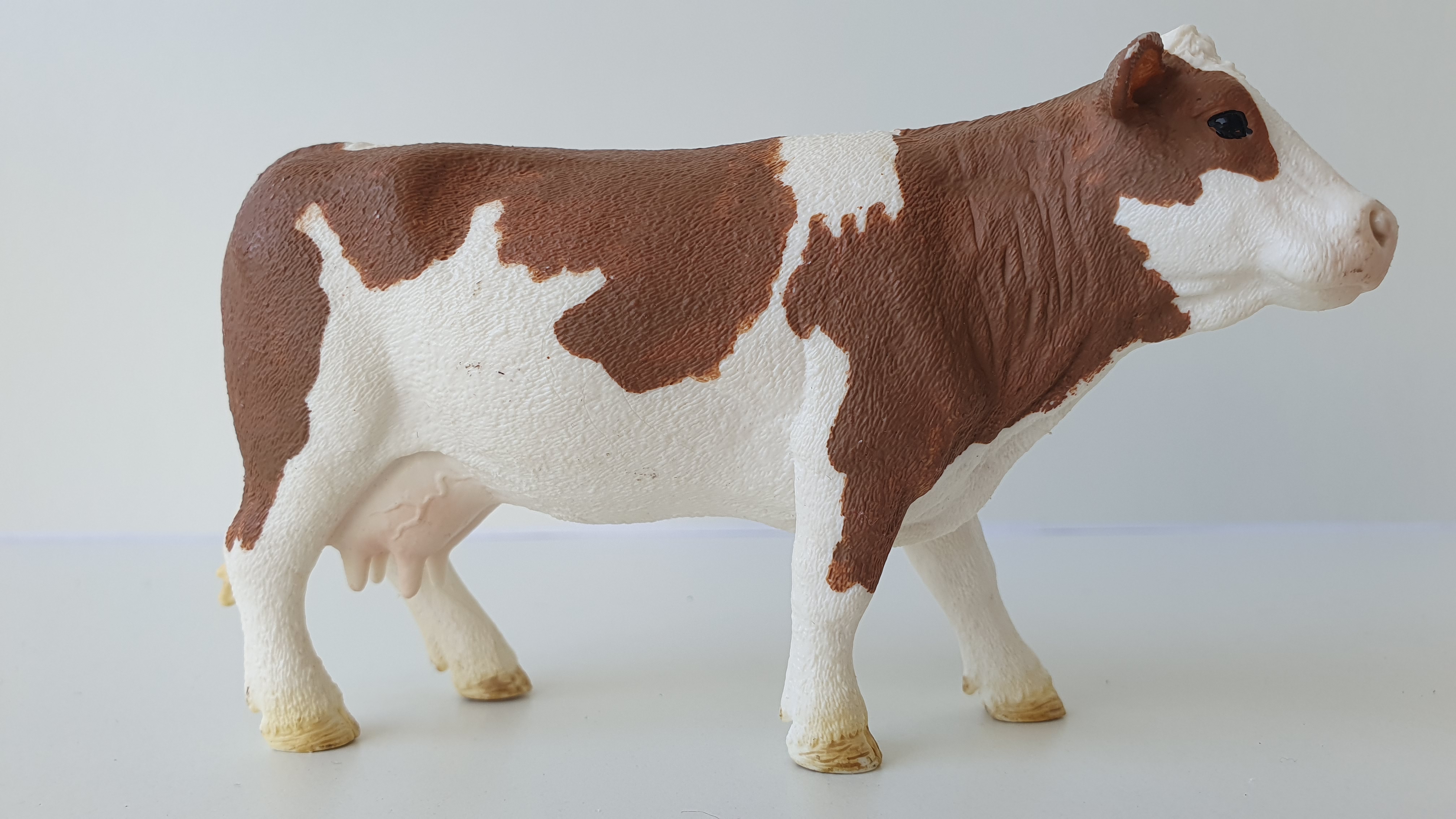 kráva Simmentálská 13801, model 2015