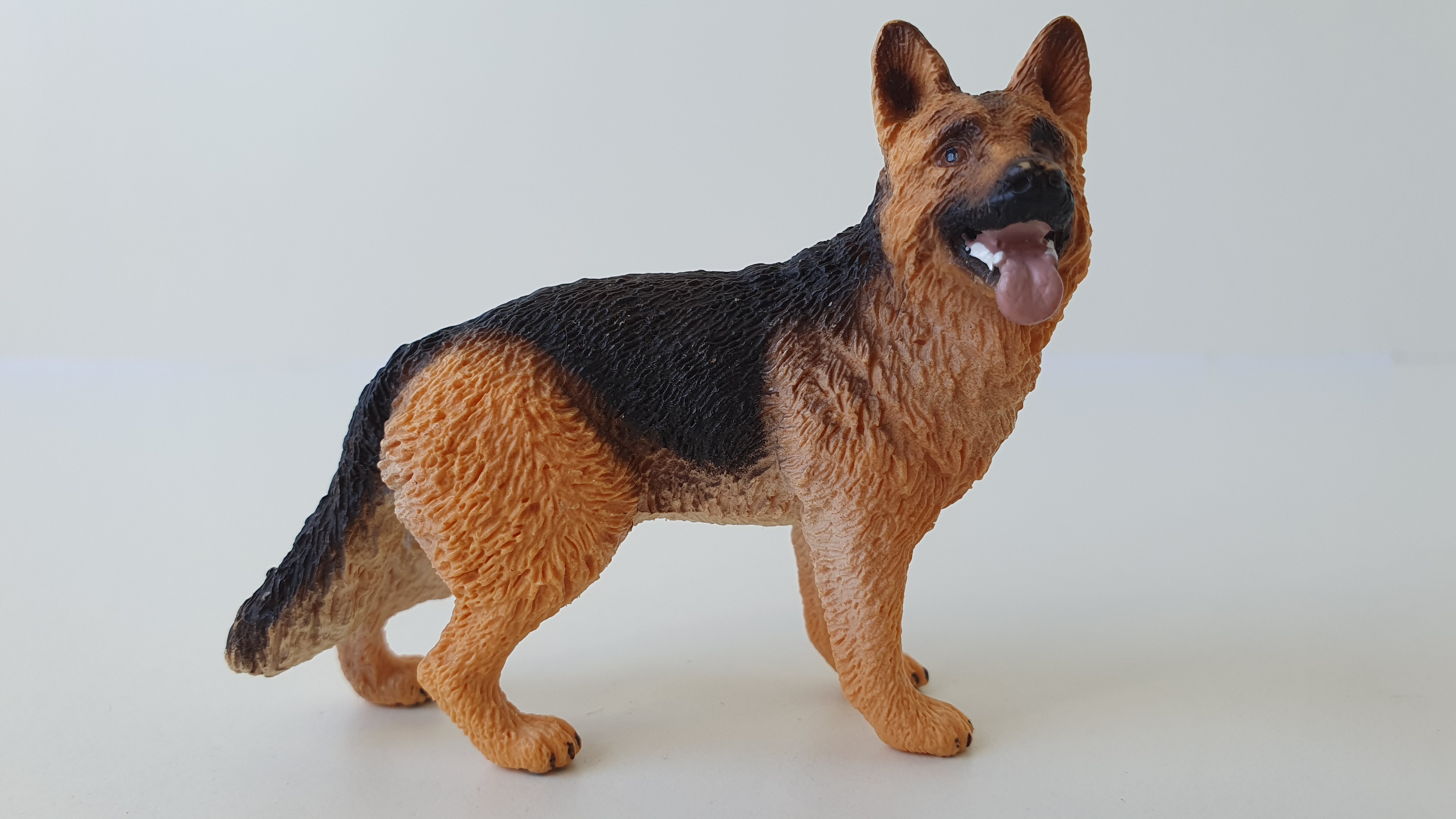 Německý ovčák 16831, model 2014