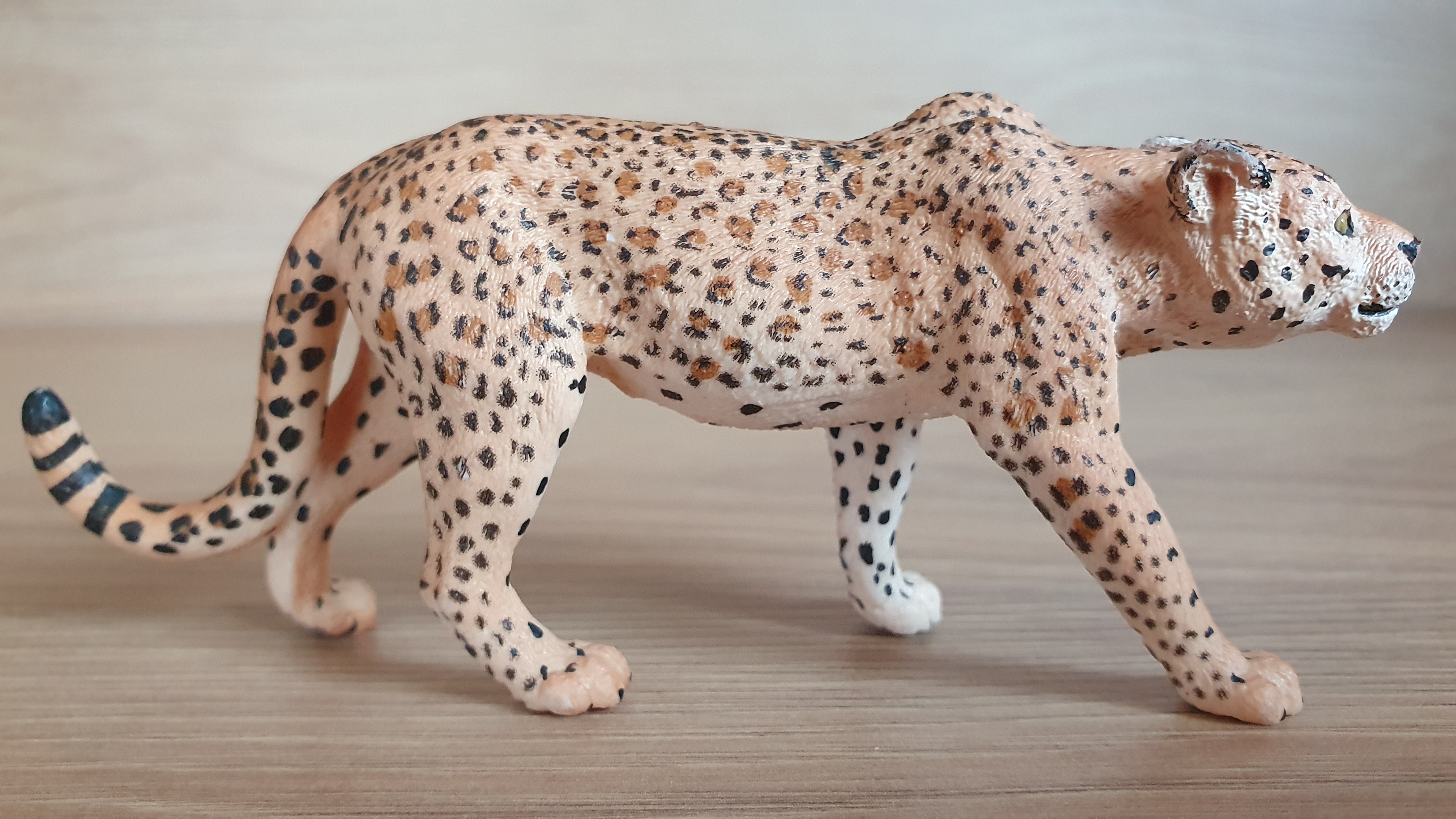 leopard 14748, model 2015
