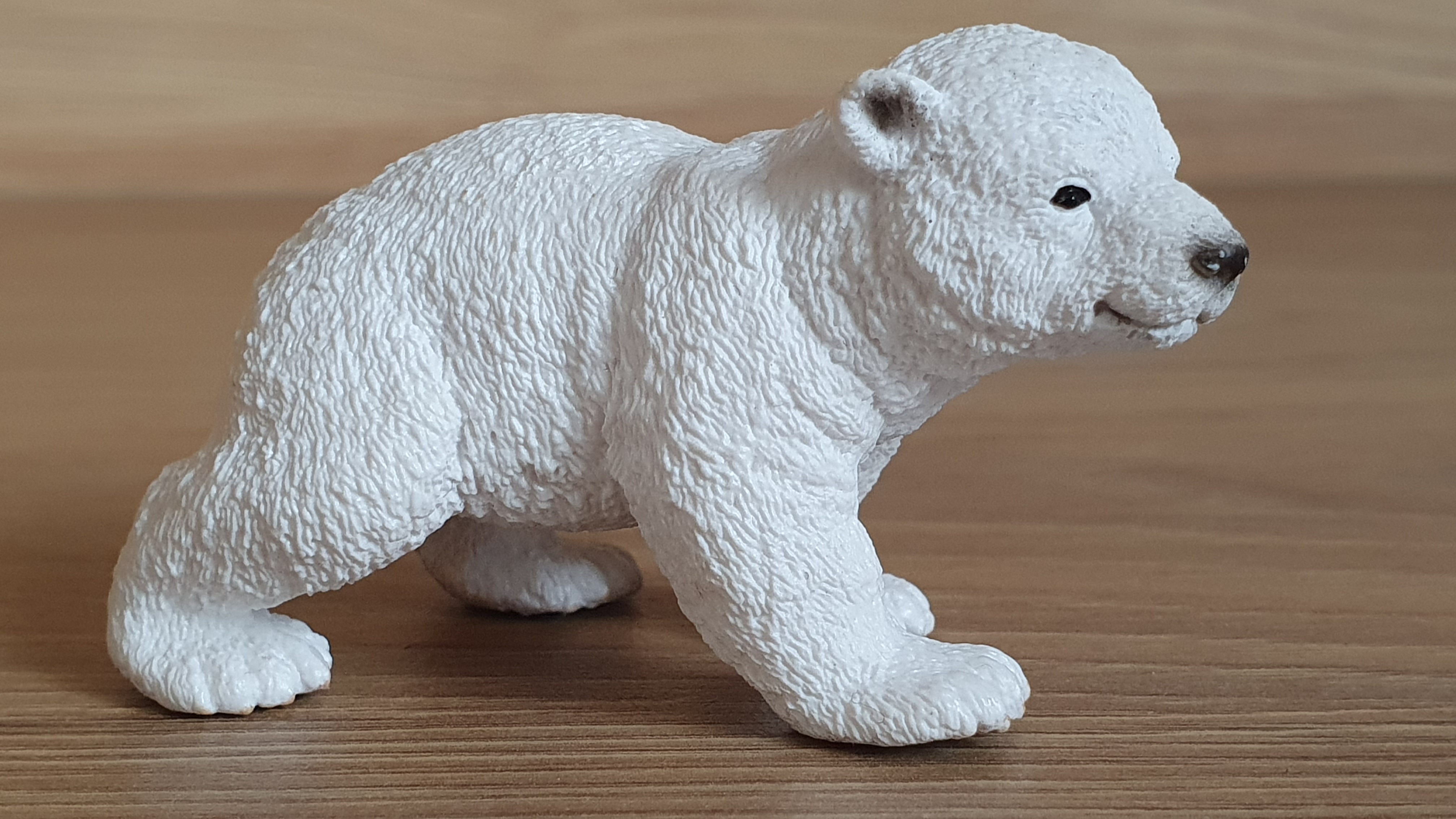 medvěd polární mládě 14708, model 2013
