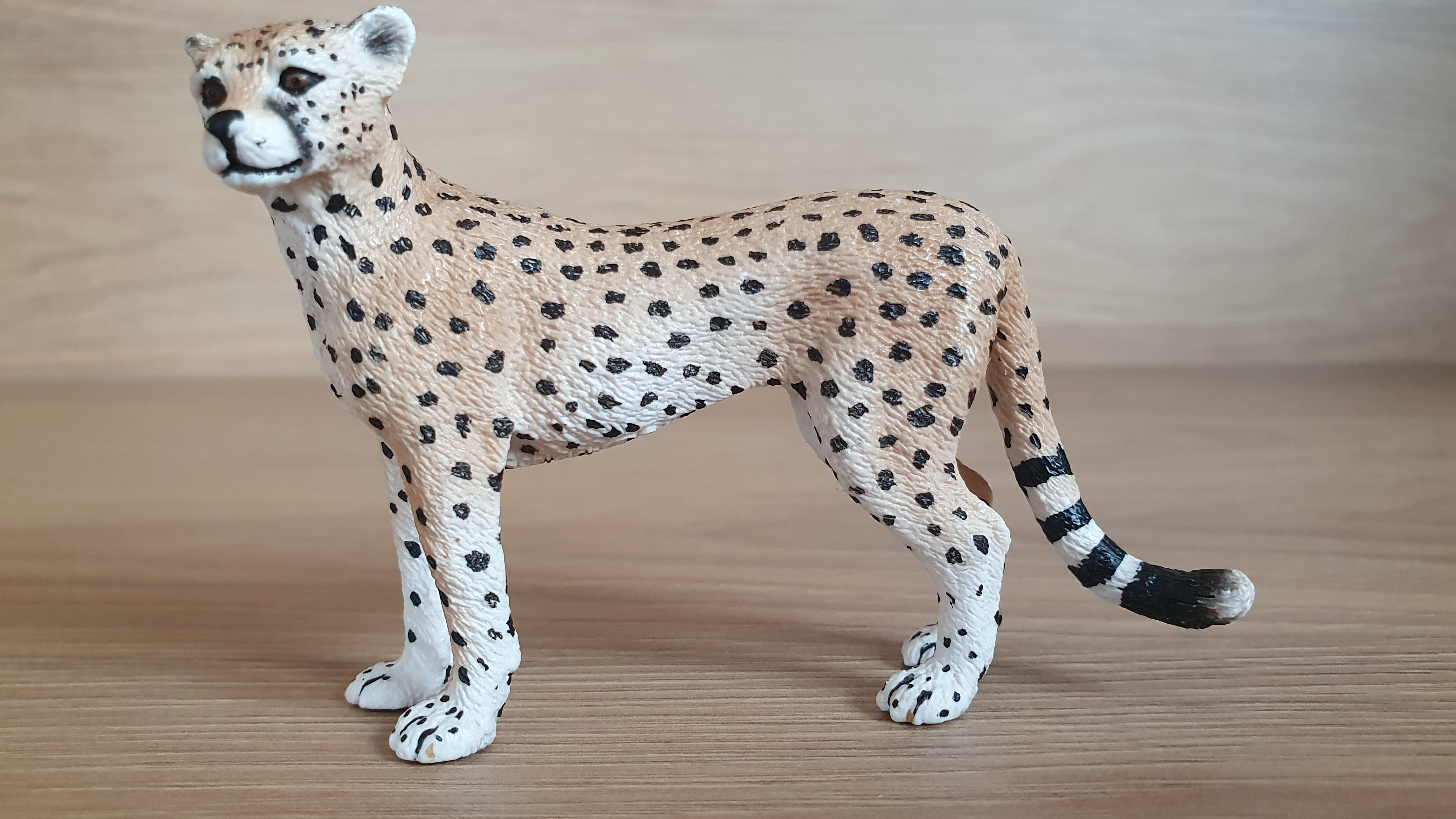gepard 14614, model 2009
