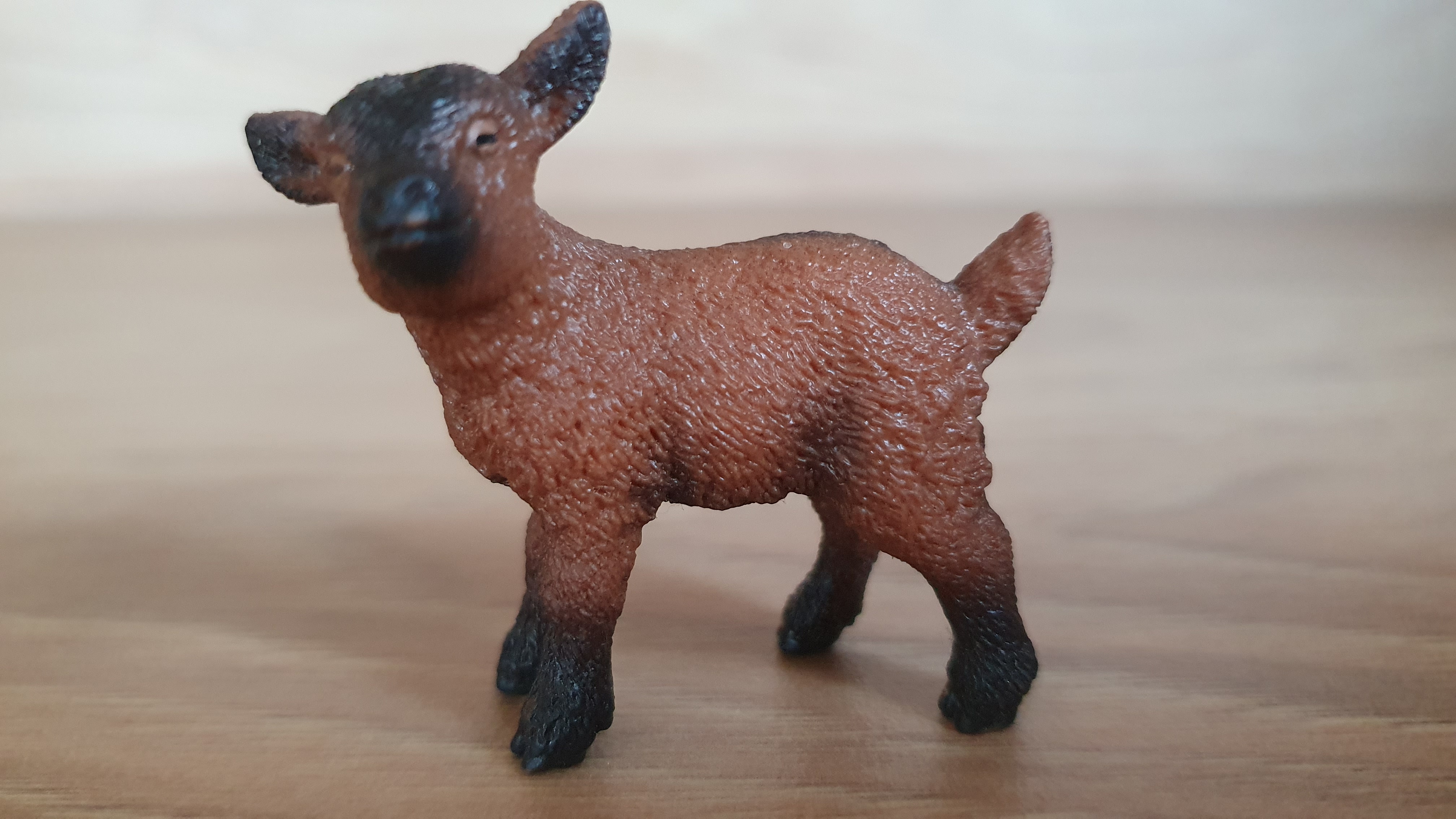 kůzle hnědé 13829, model 2016