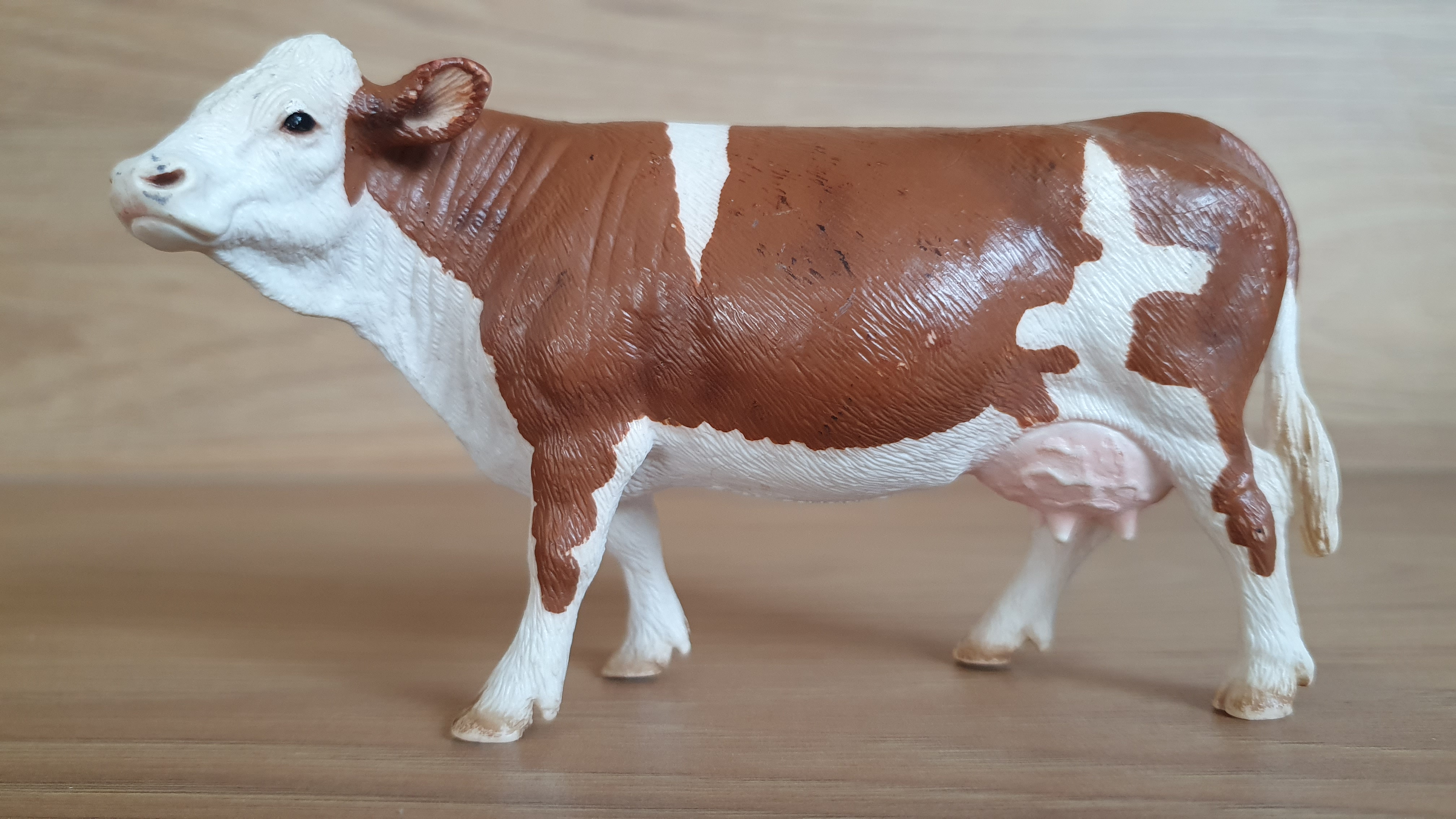 kráva Simmentálská 13641, model 2008