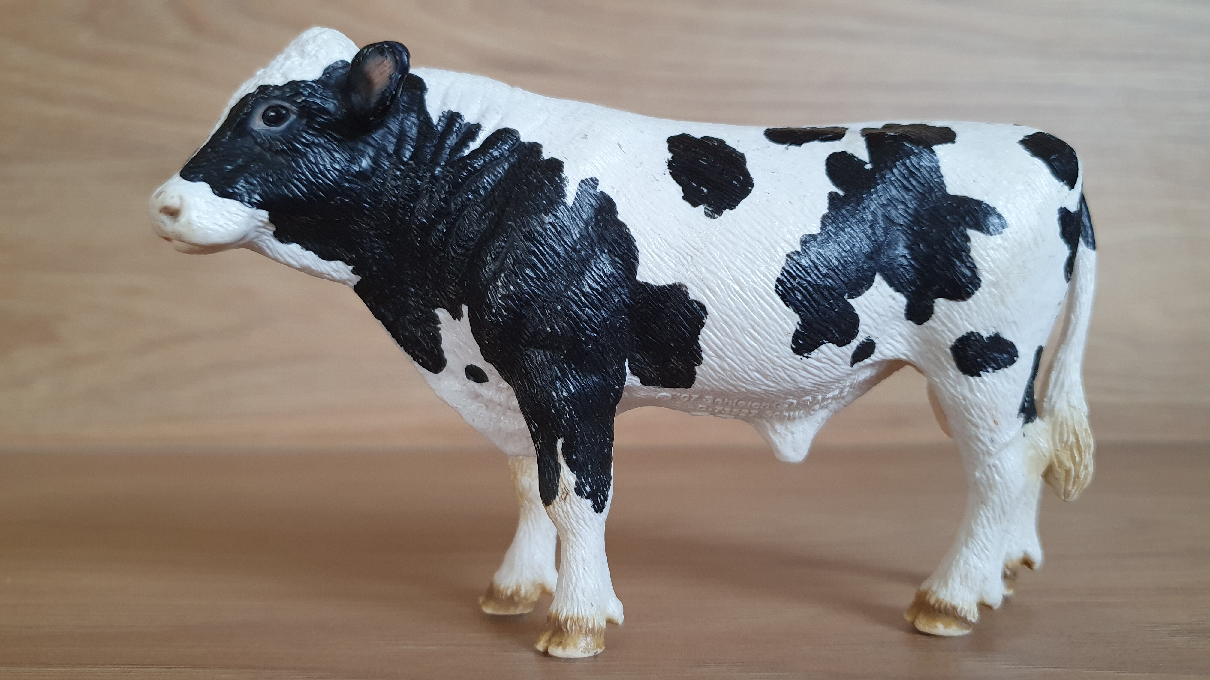 býk holštýnský 13632, model 2007