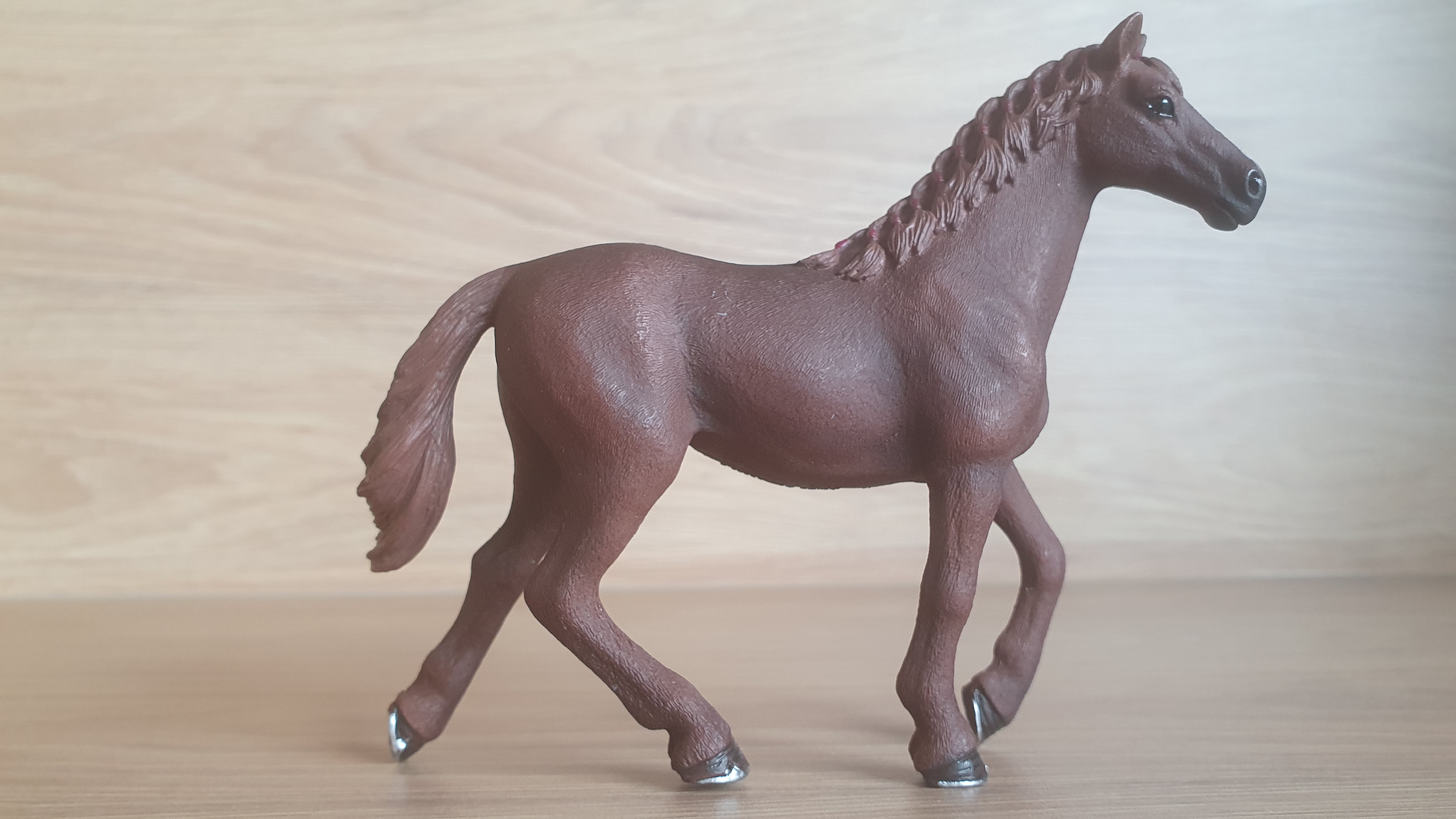 Anglický plnokrevník klisna 13855, model 2016