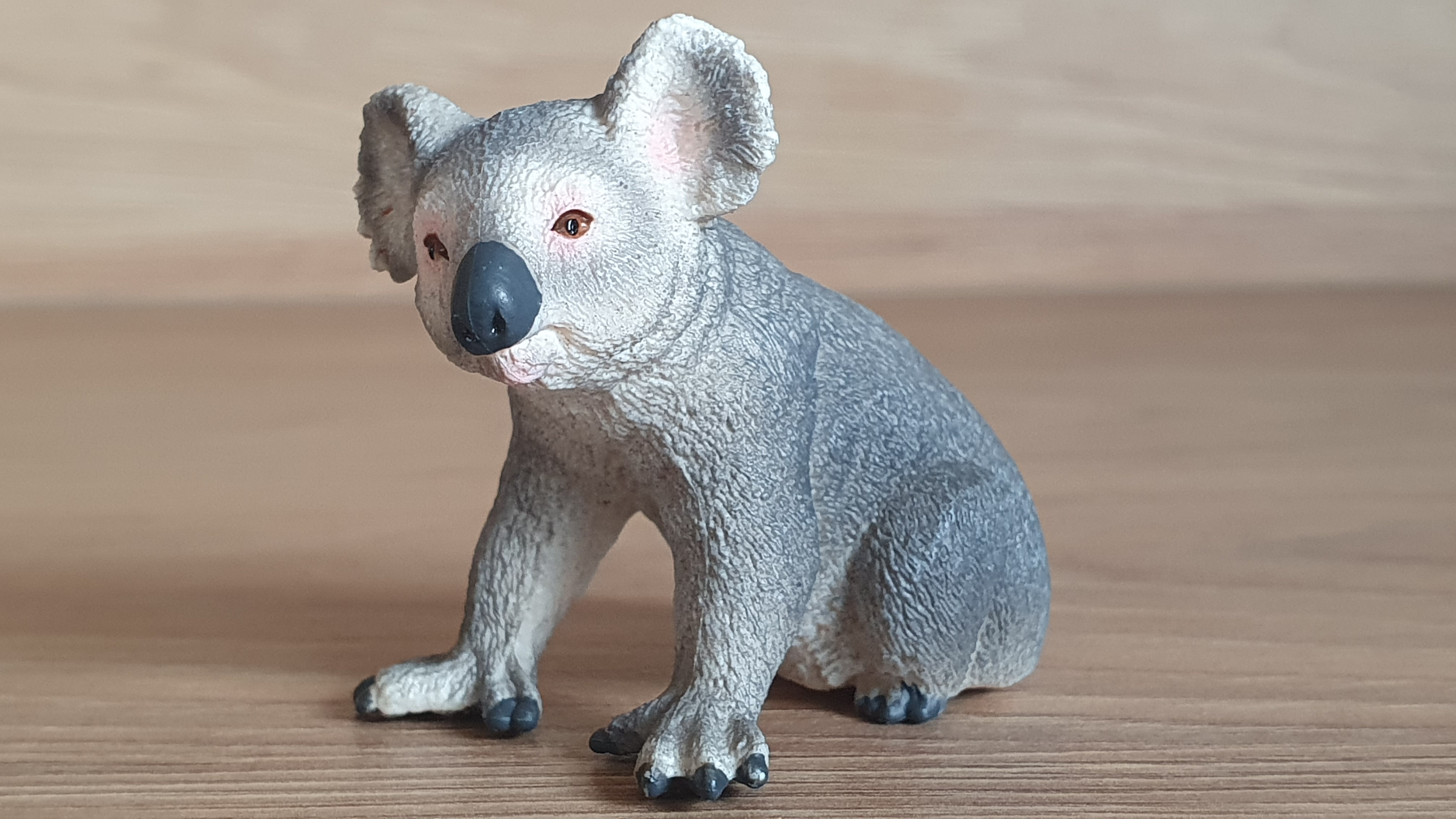koala 14815, model 2017