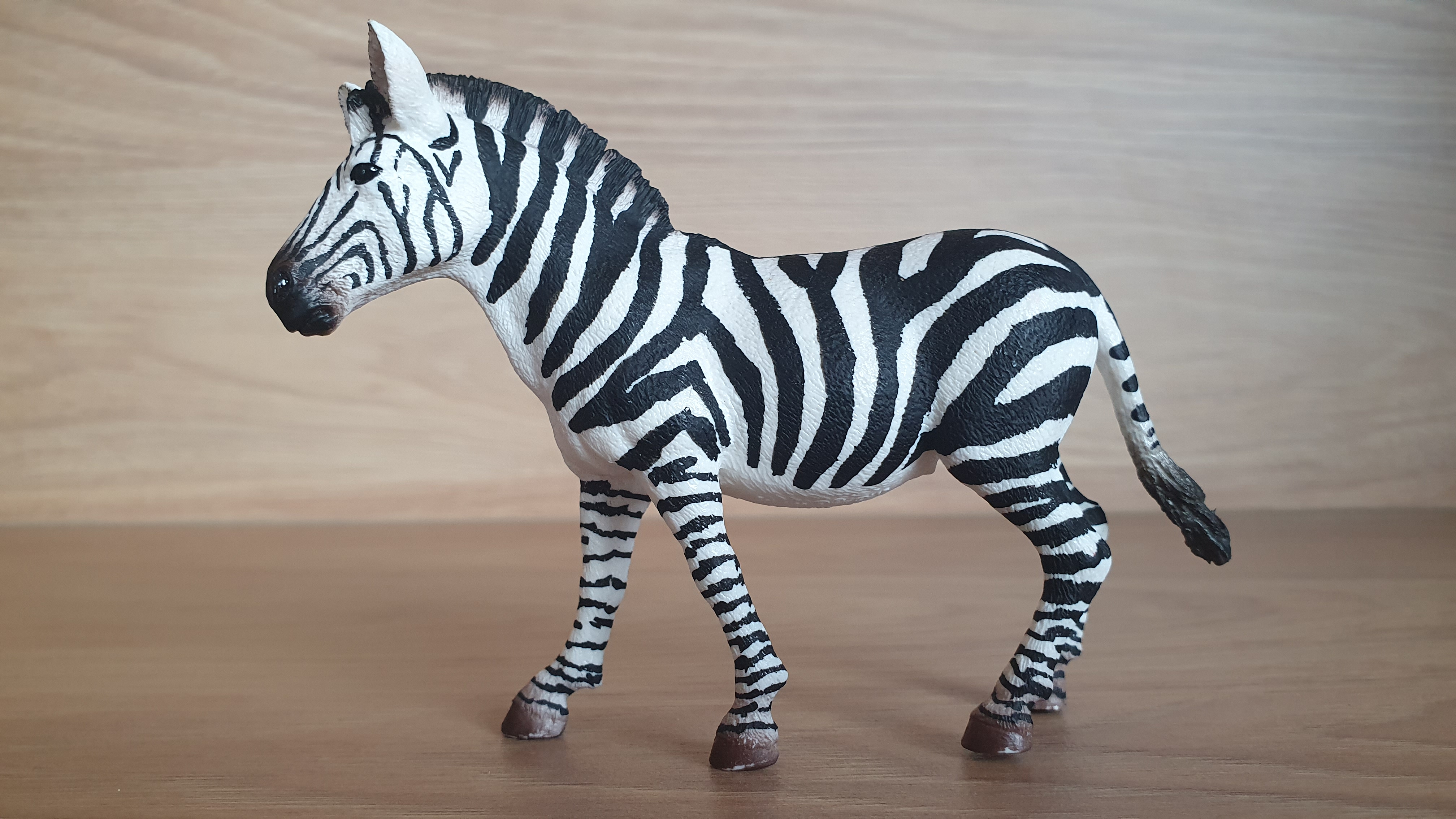 zebra 14810, model 2017