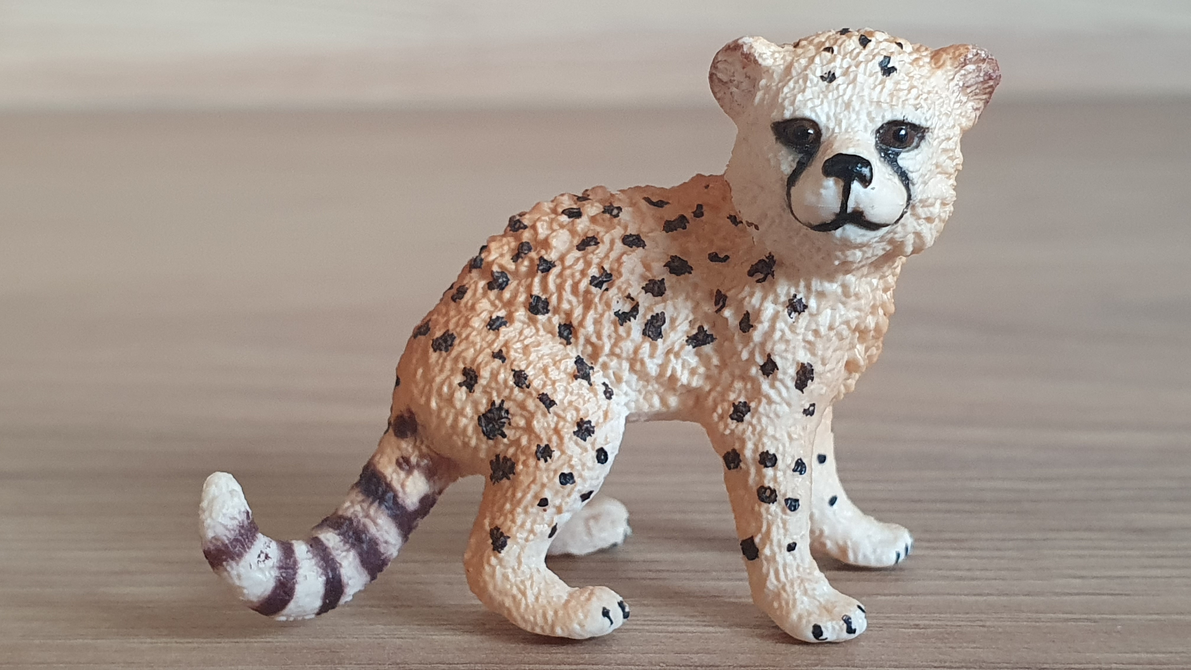 gepard mládě 14747, model 2015