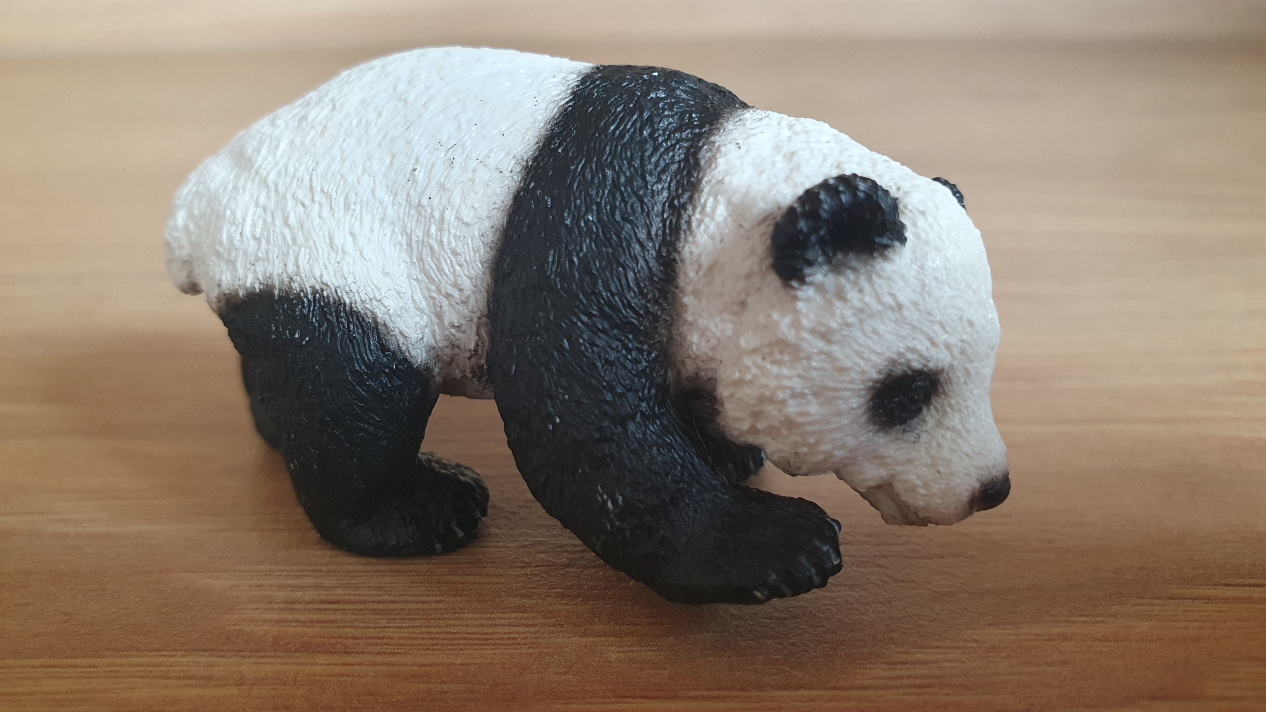 panda mládě 14707, model 2013