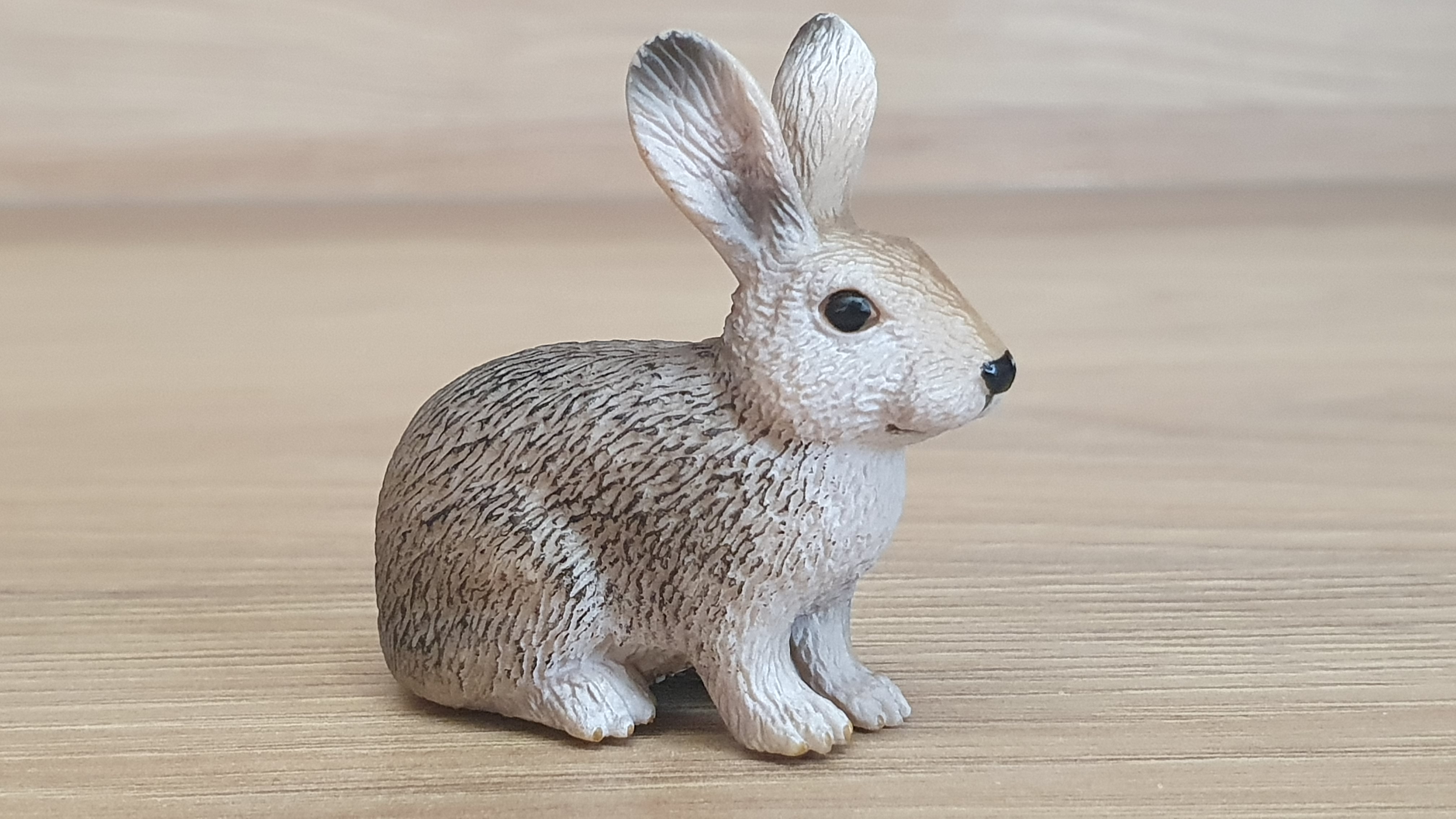 králík divoký 14631, model 2009