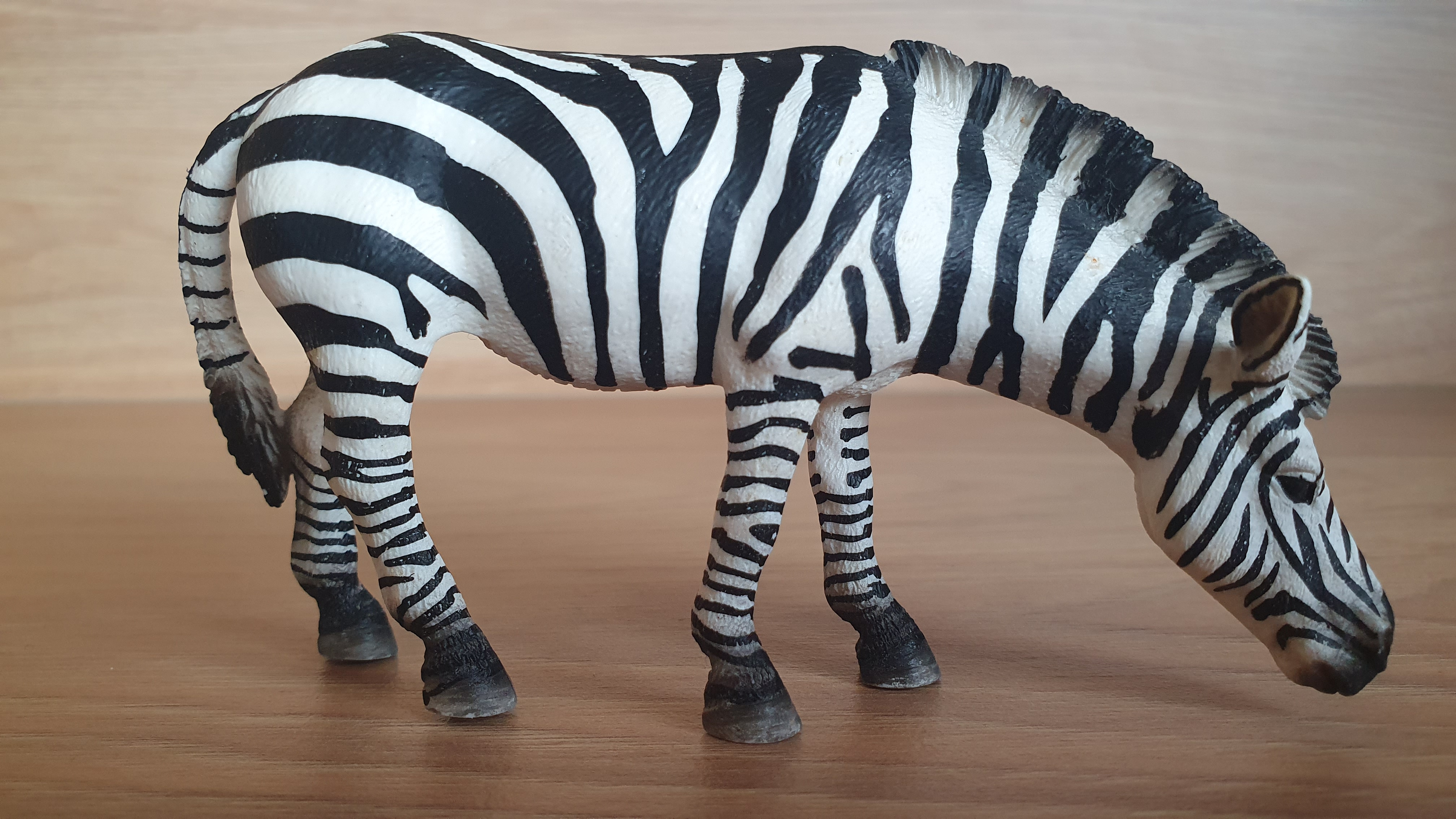 zebra 14609, model 2009