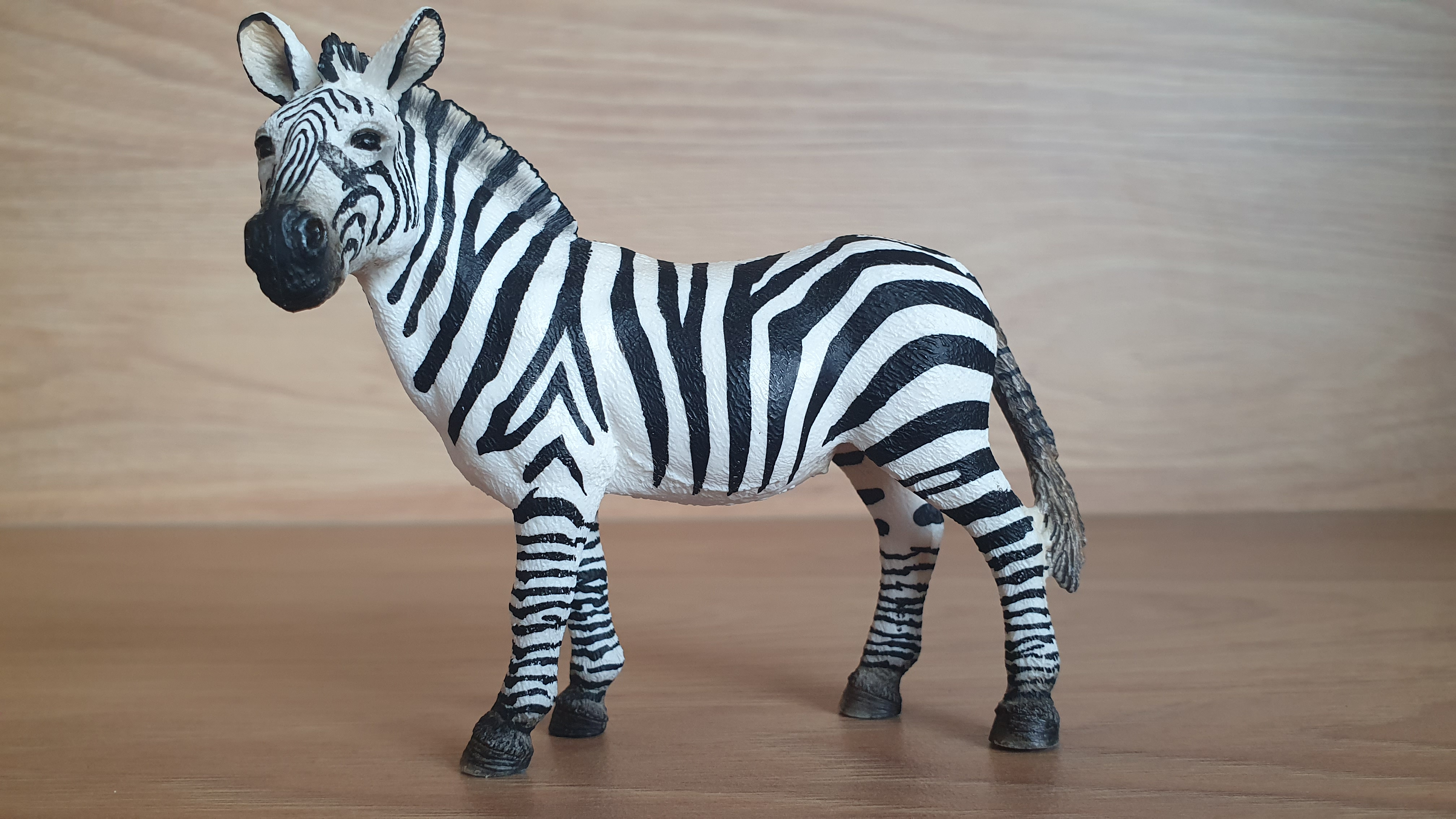 zebra 14392, model 2008