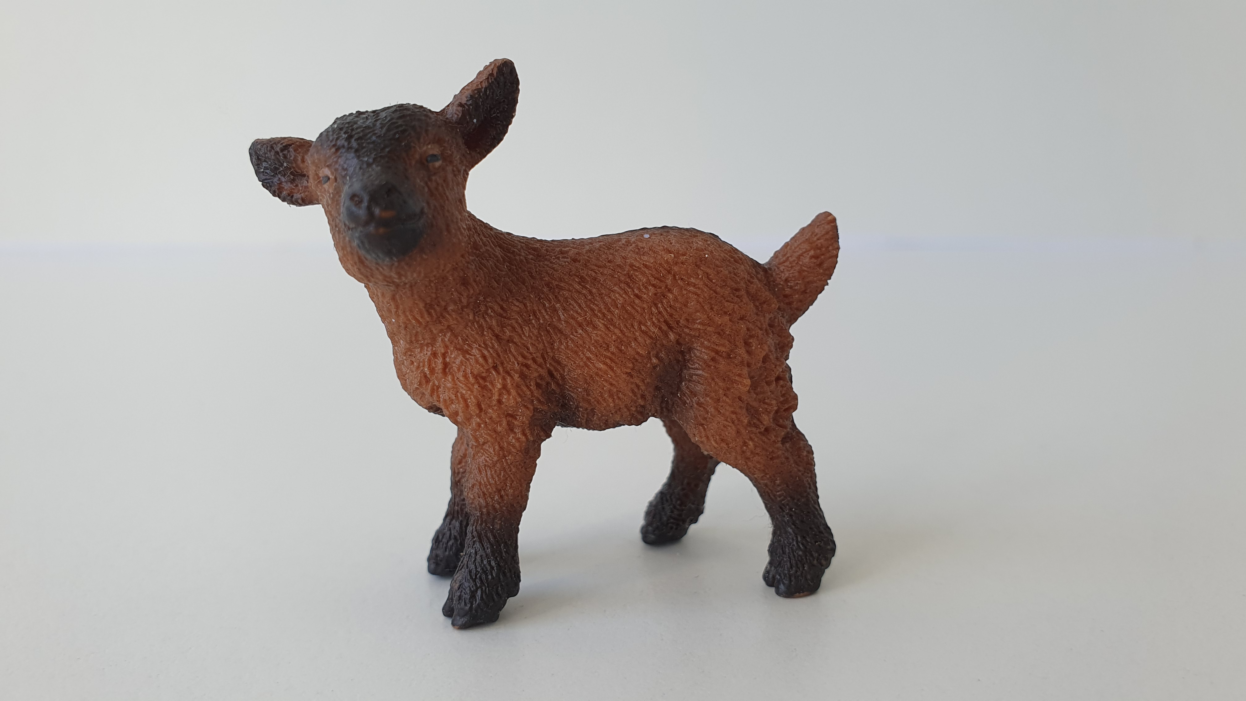 kůzle hnědé 13829, model 2016