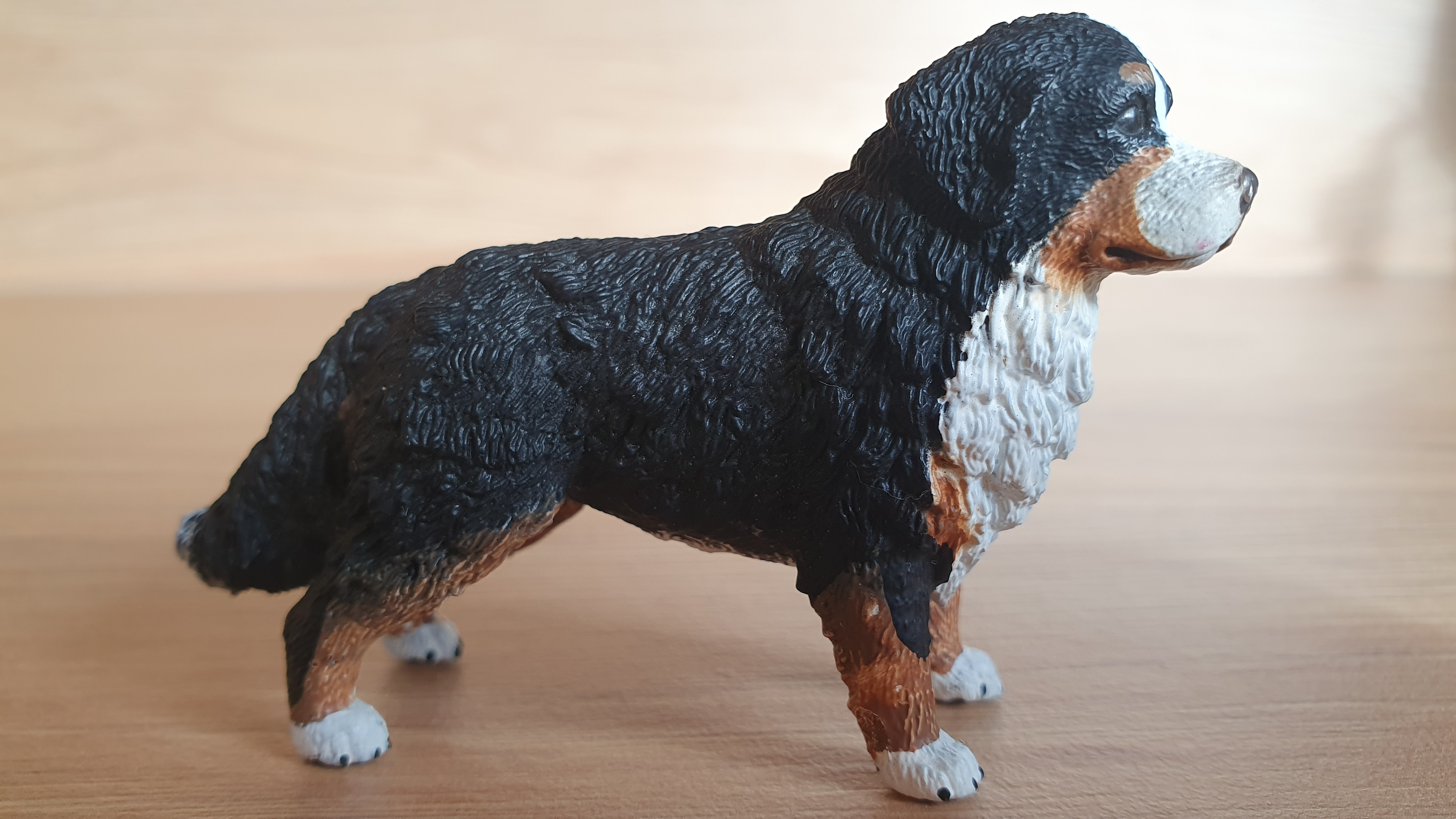 Bernský salašnický pes 16397, model 2013
