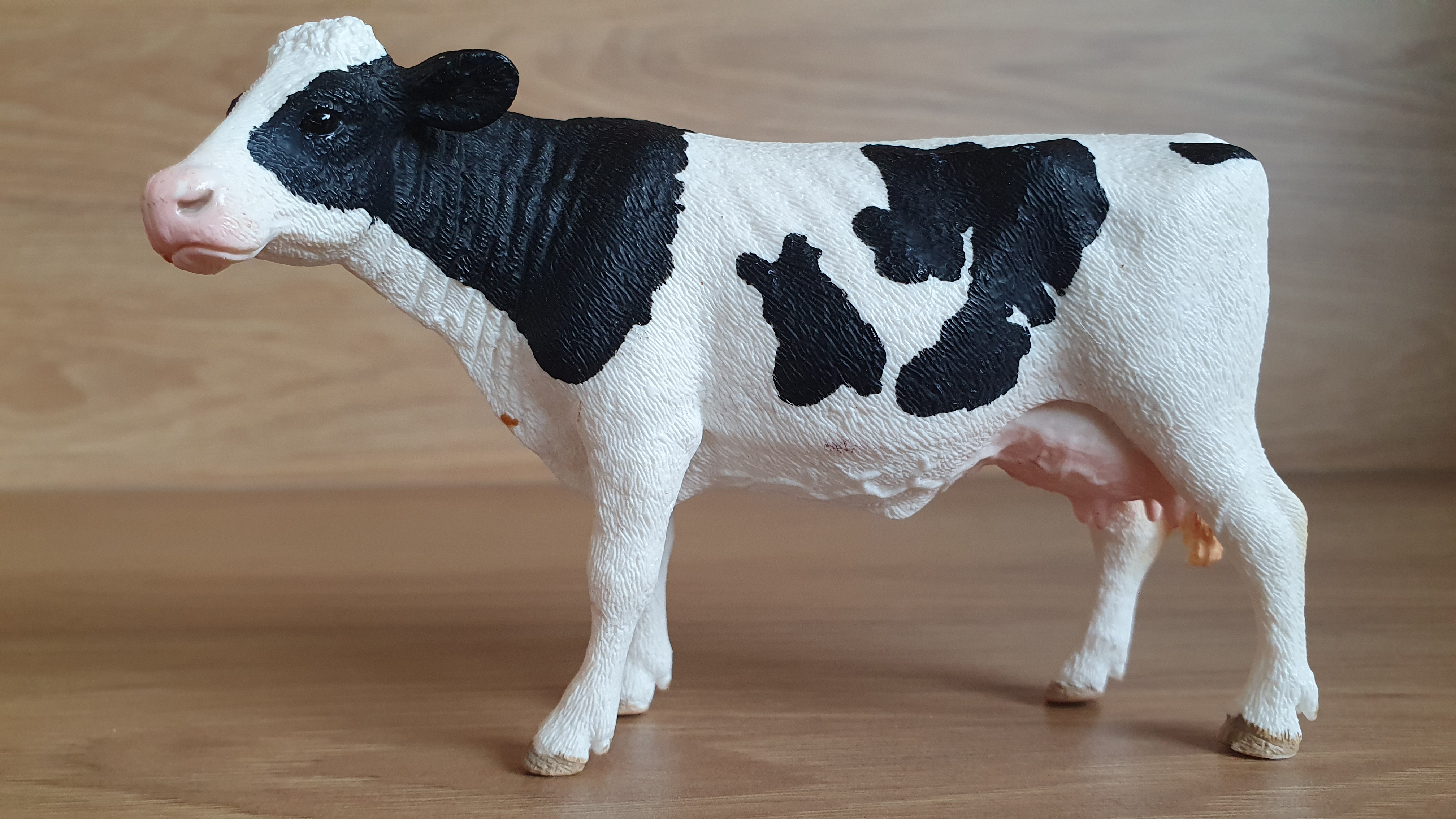 kráva holštýnská 13797, model 2015