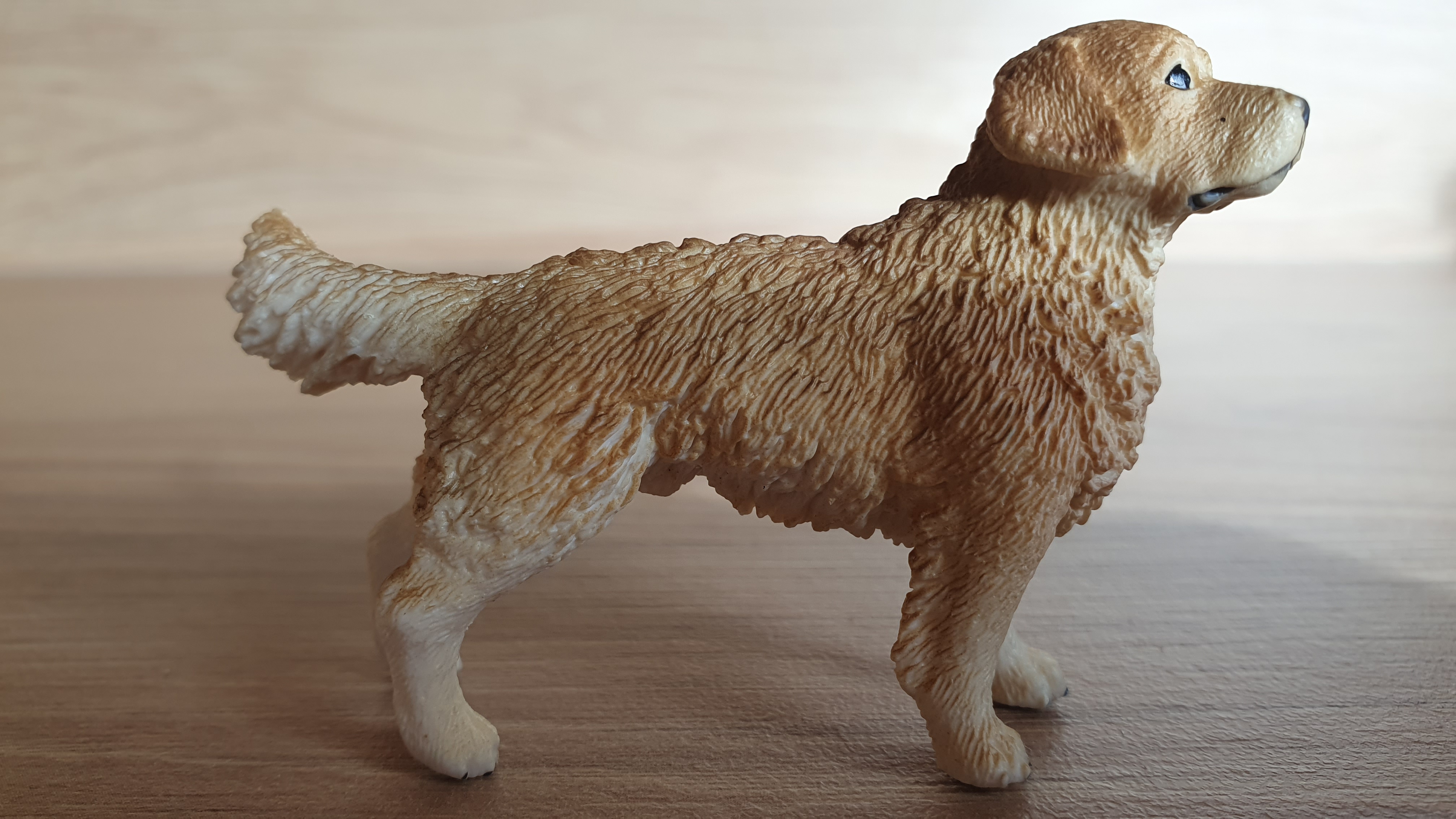 zlatý retrívr 16394, model 2013