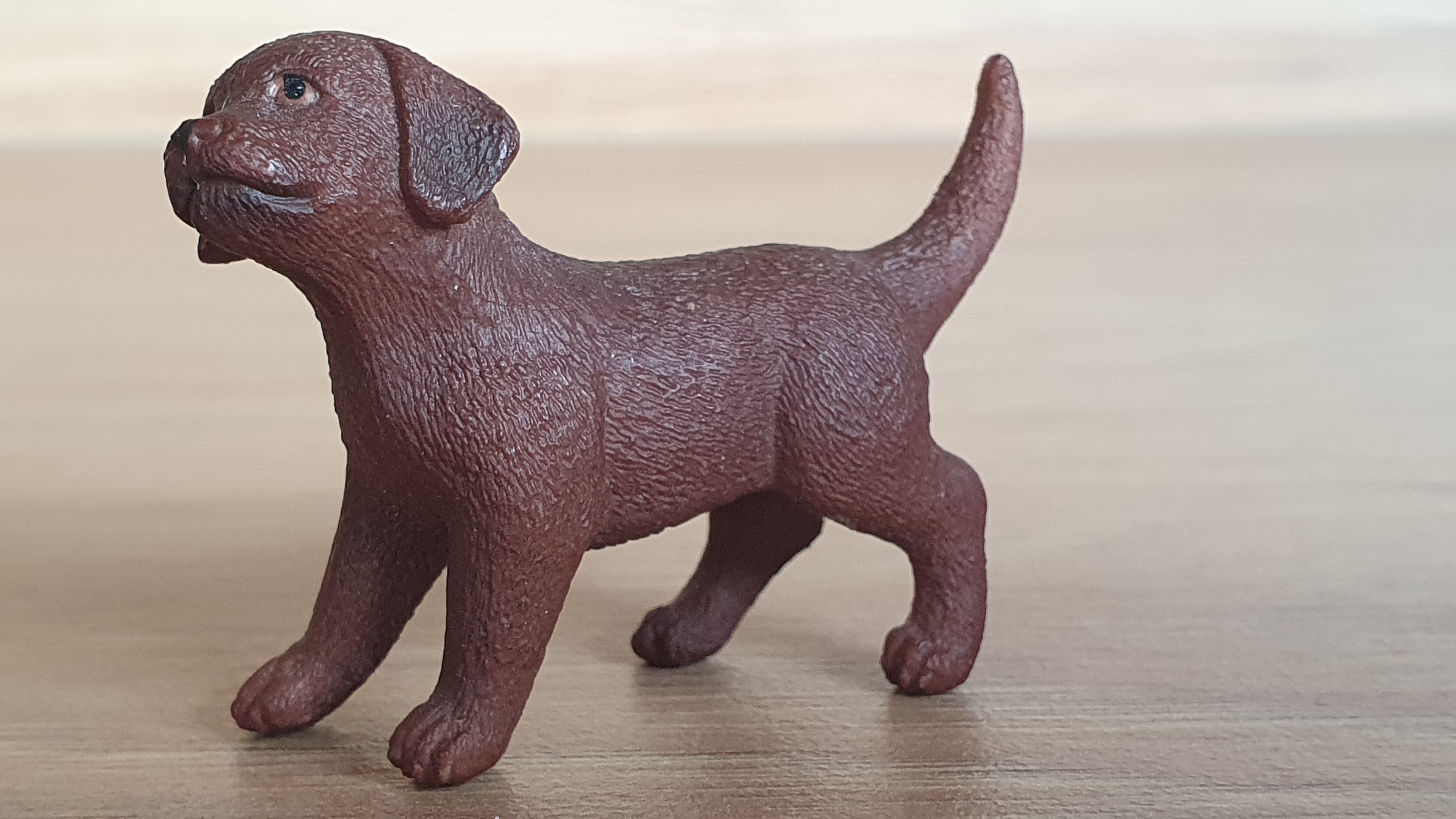 labrador hnědý štěně ze setu 42543