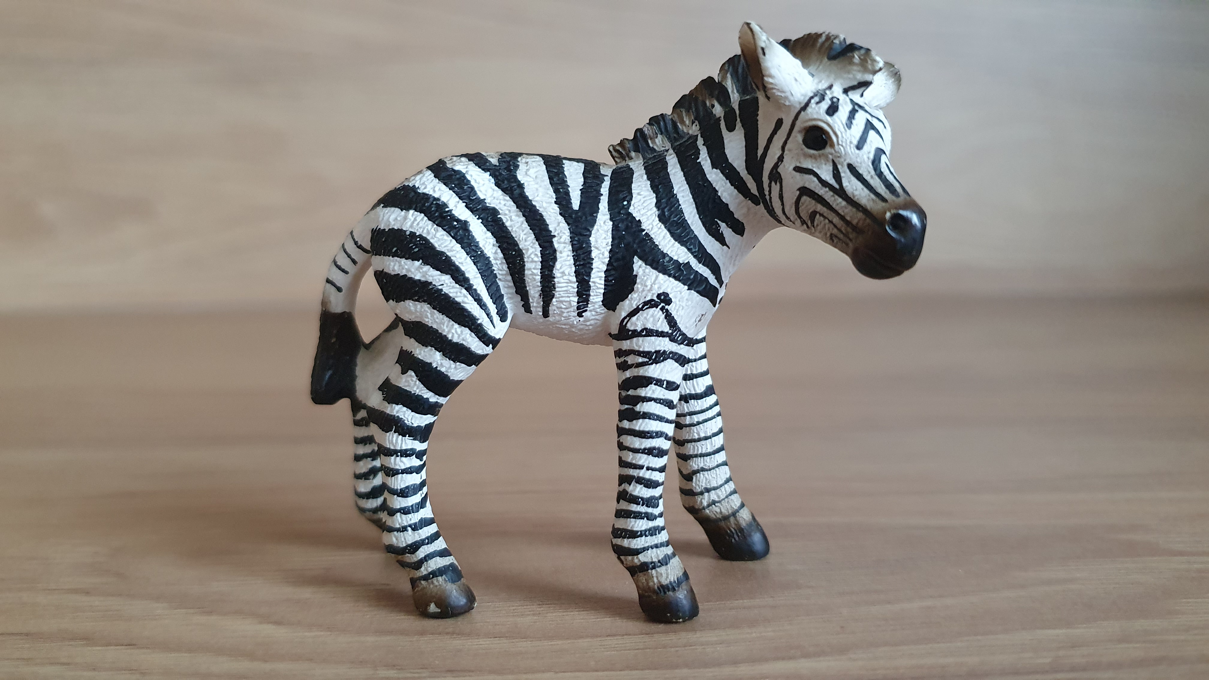 zebra mládě 14393, model 2008