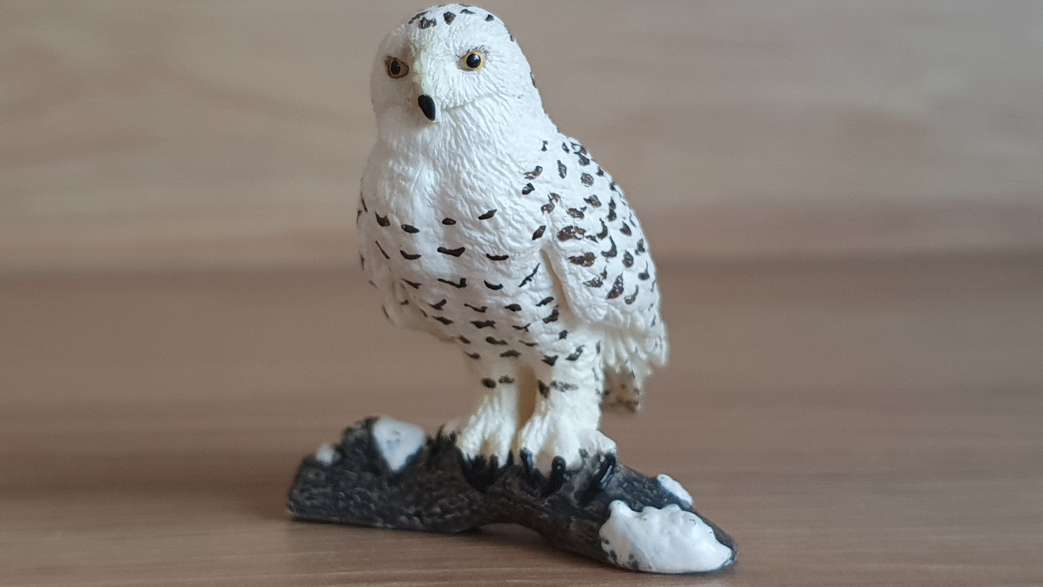 sova sněžná 14671, model 2011