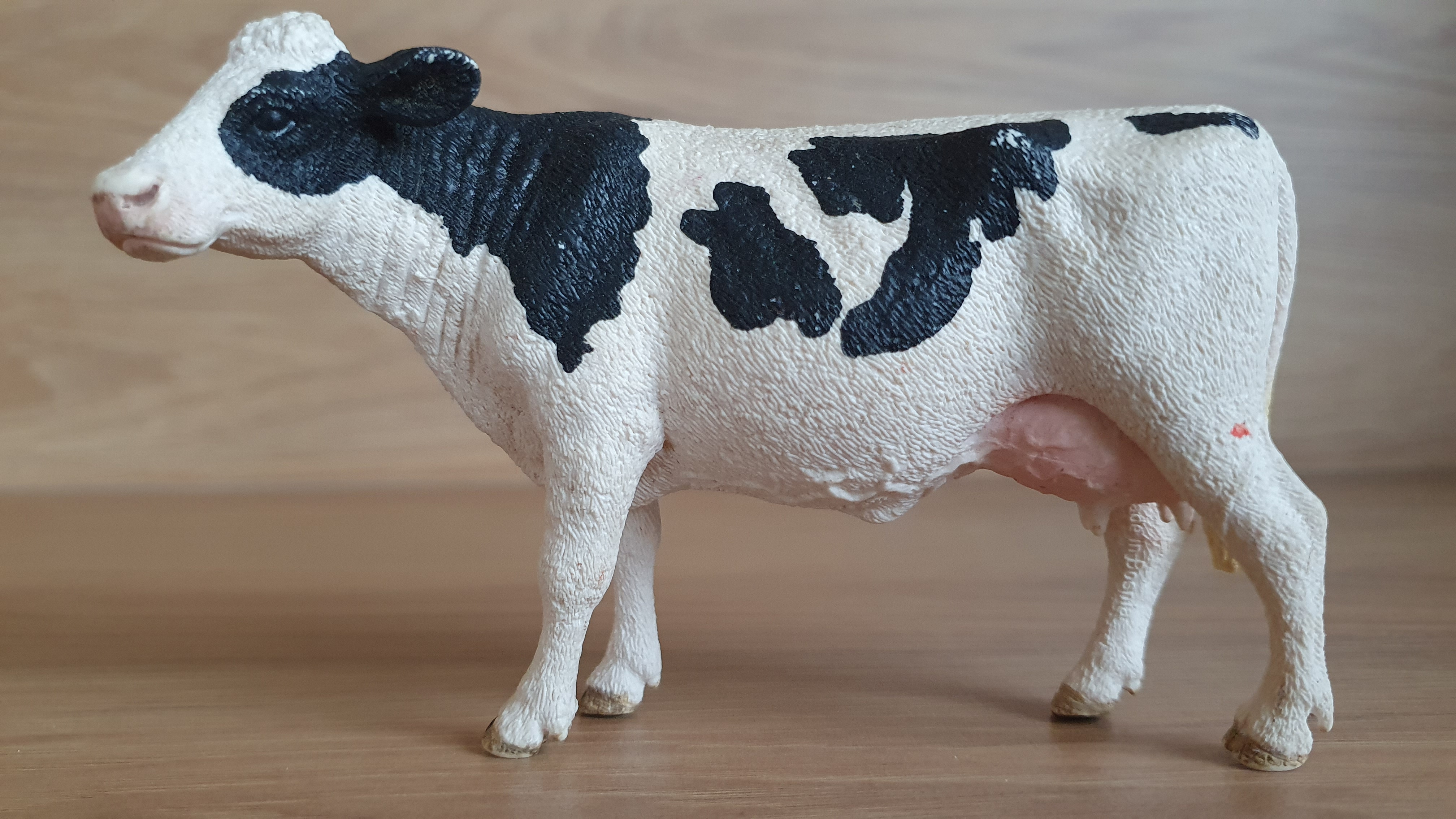 kráva holštýnská 13797, model 2015