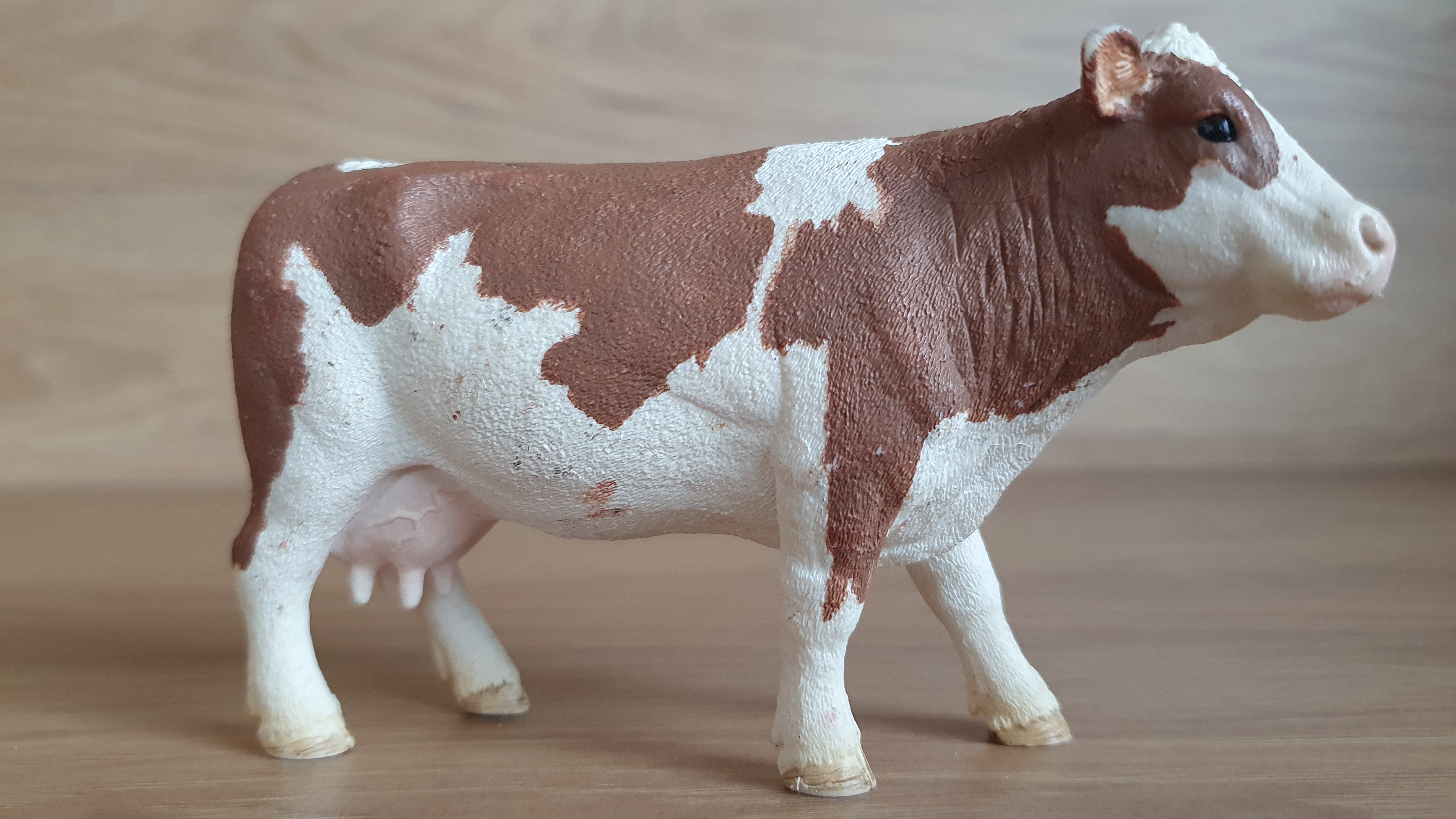 kráva Simmentálská 13801, model 2015