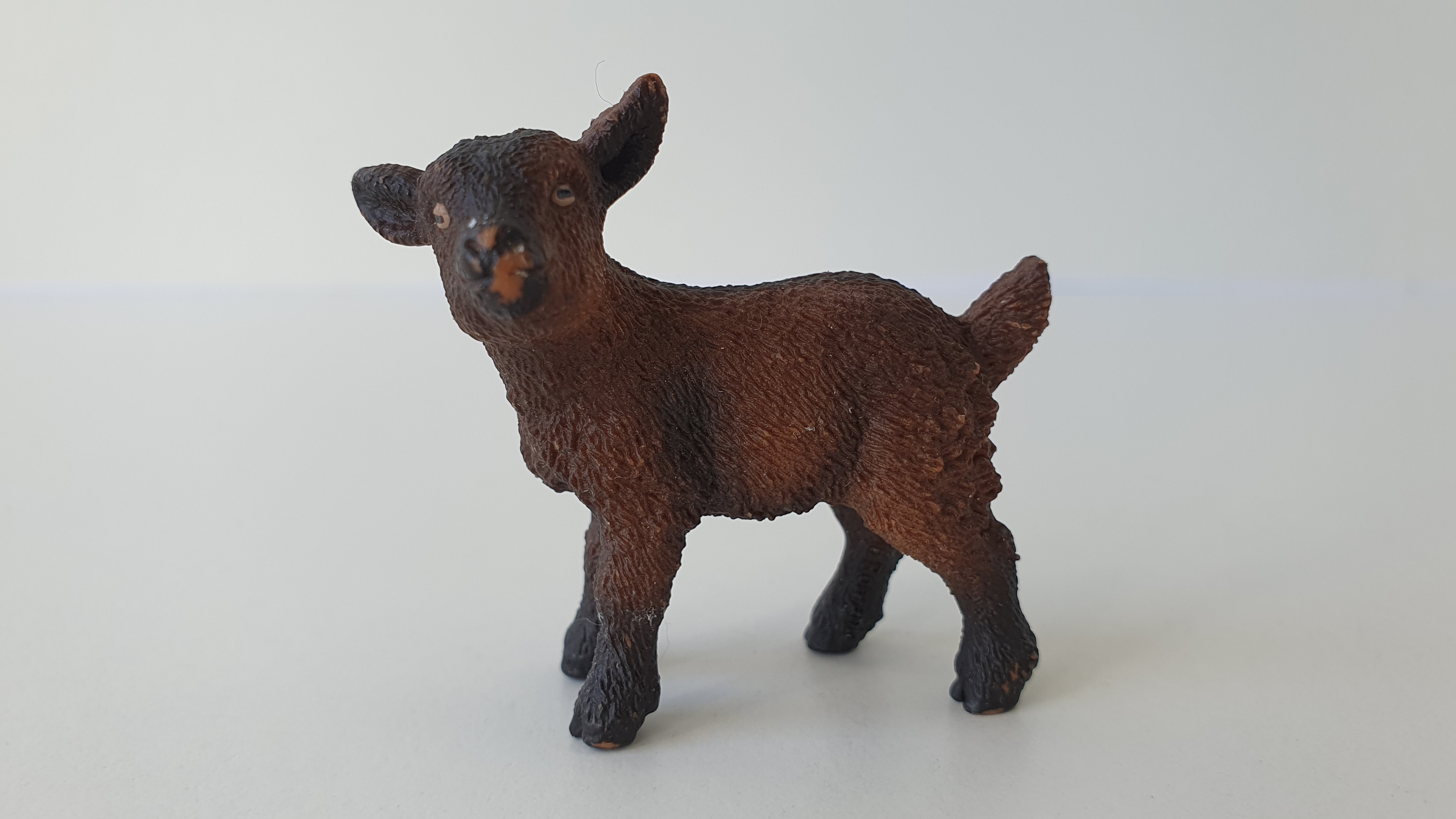 kůzle hnědé 13829, model 2016