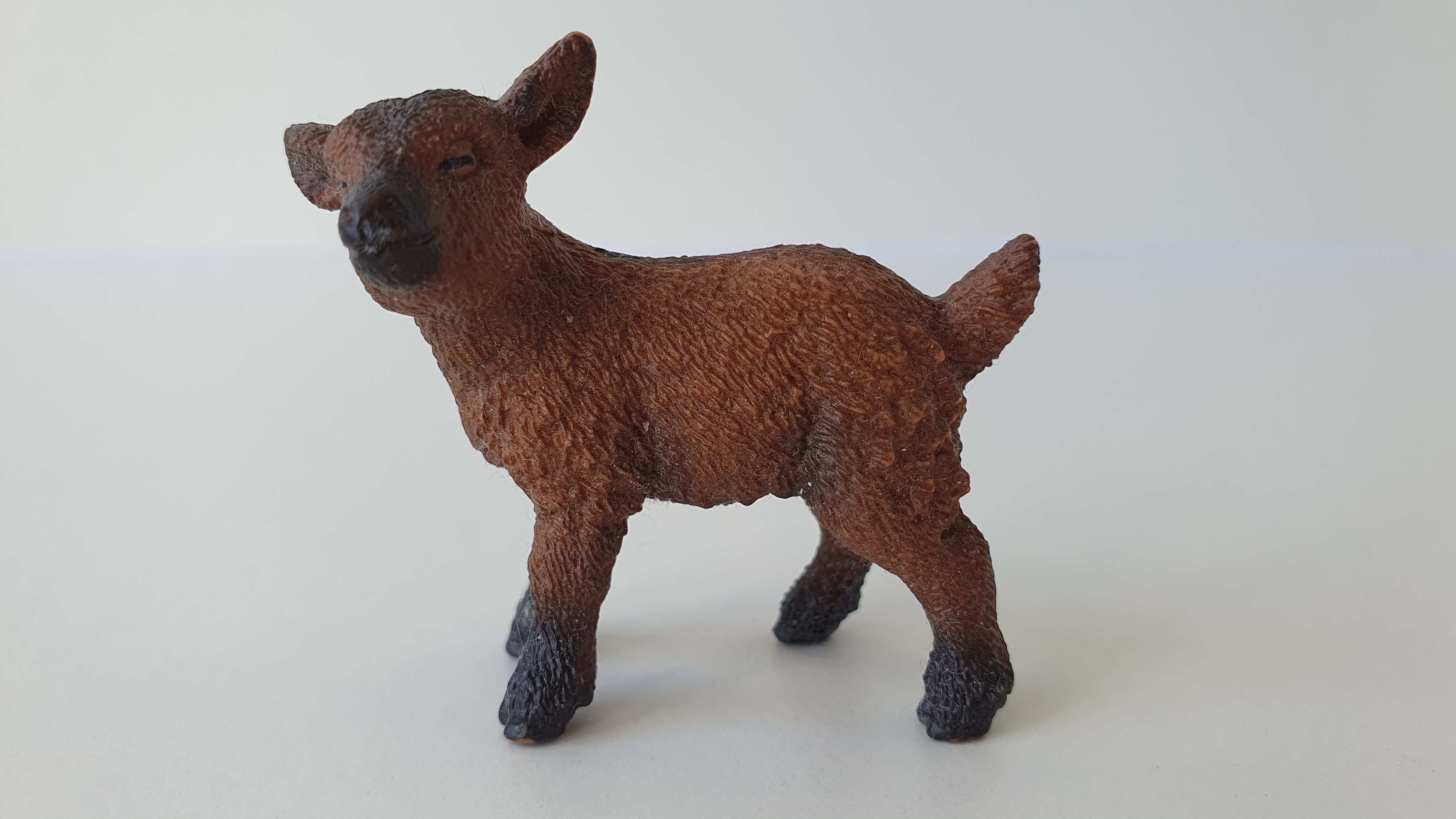 kůzle hnědé 13829, model 2016