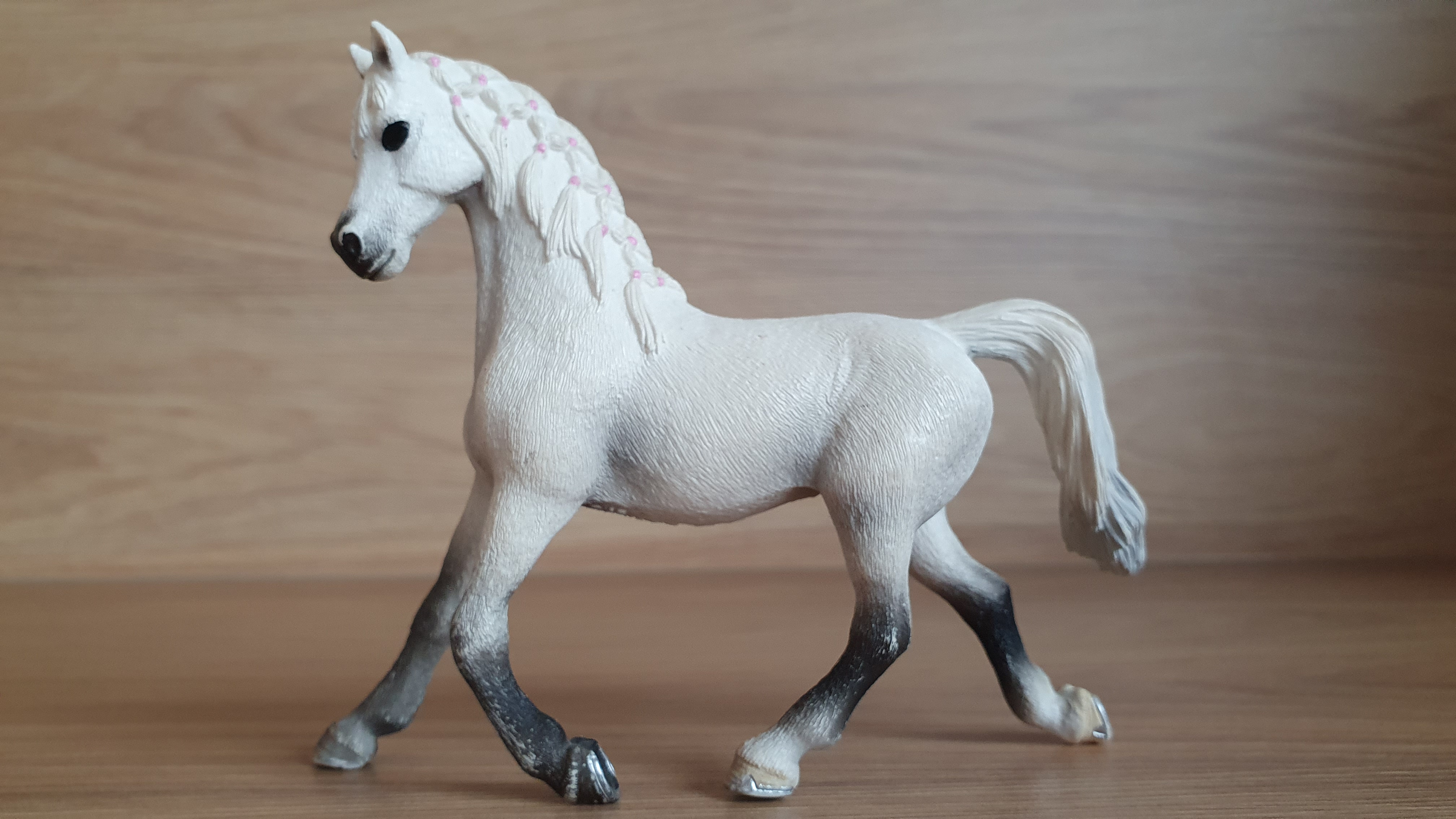 Bílá arabská klisna 13761, model 2013