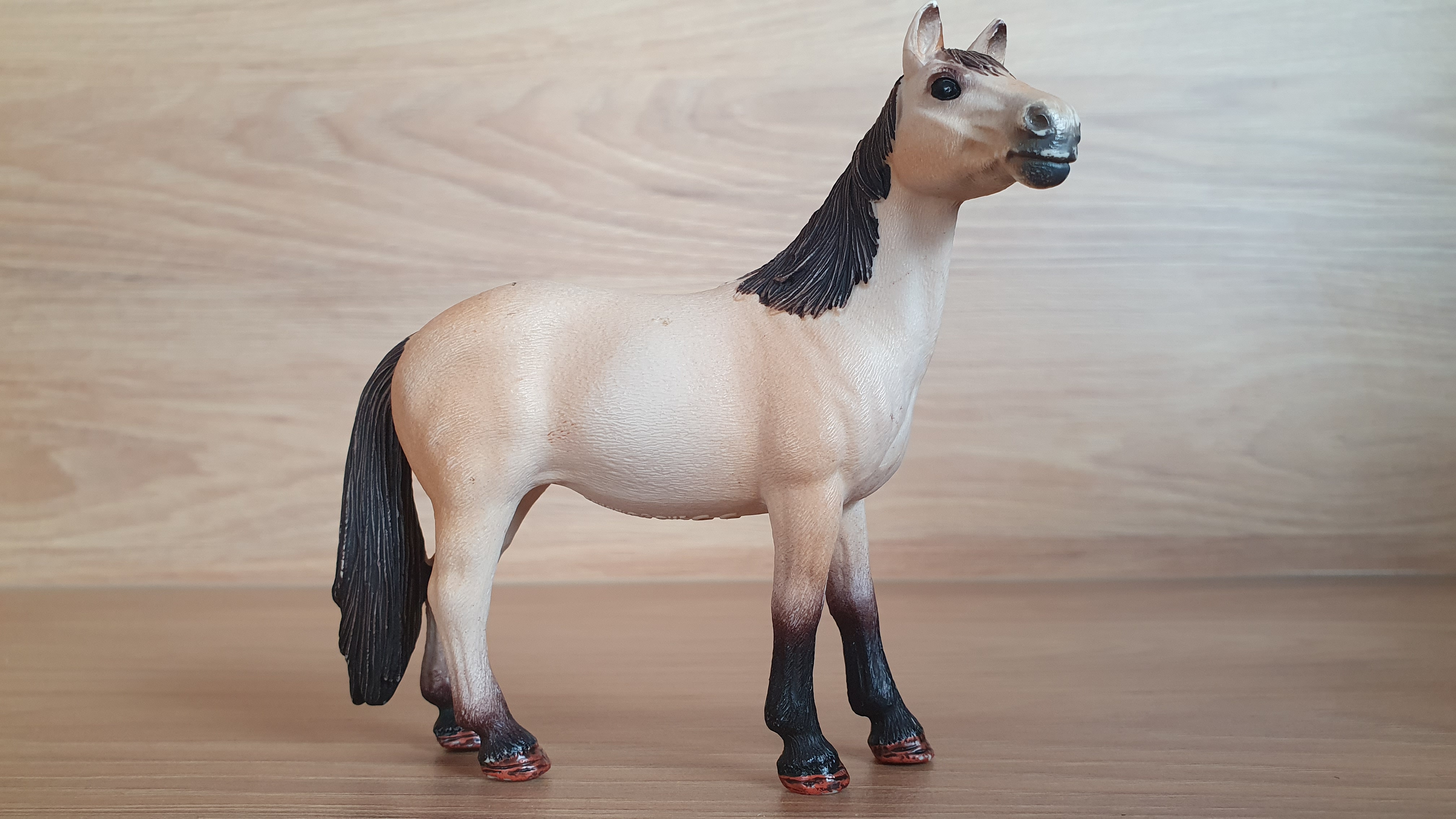 Klisna Mustanga 13806, model 2015